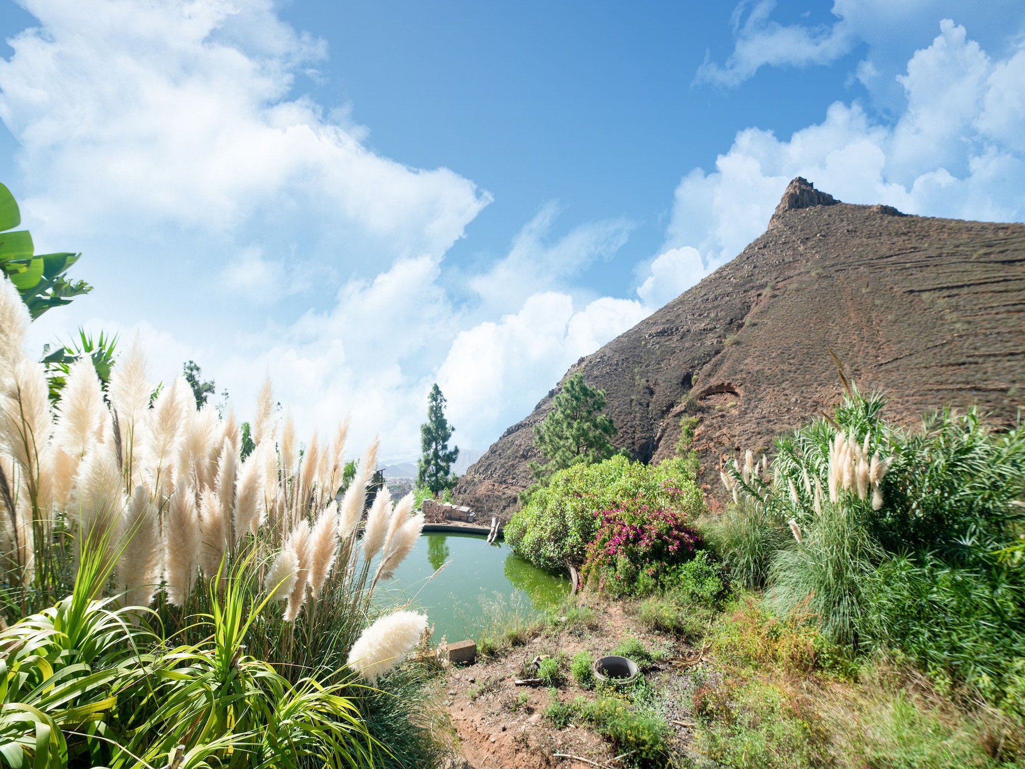 Appartamento Tenerife Nature Retreat