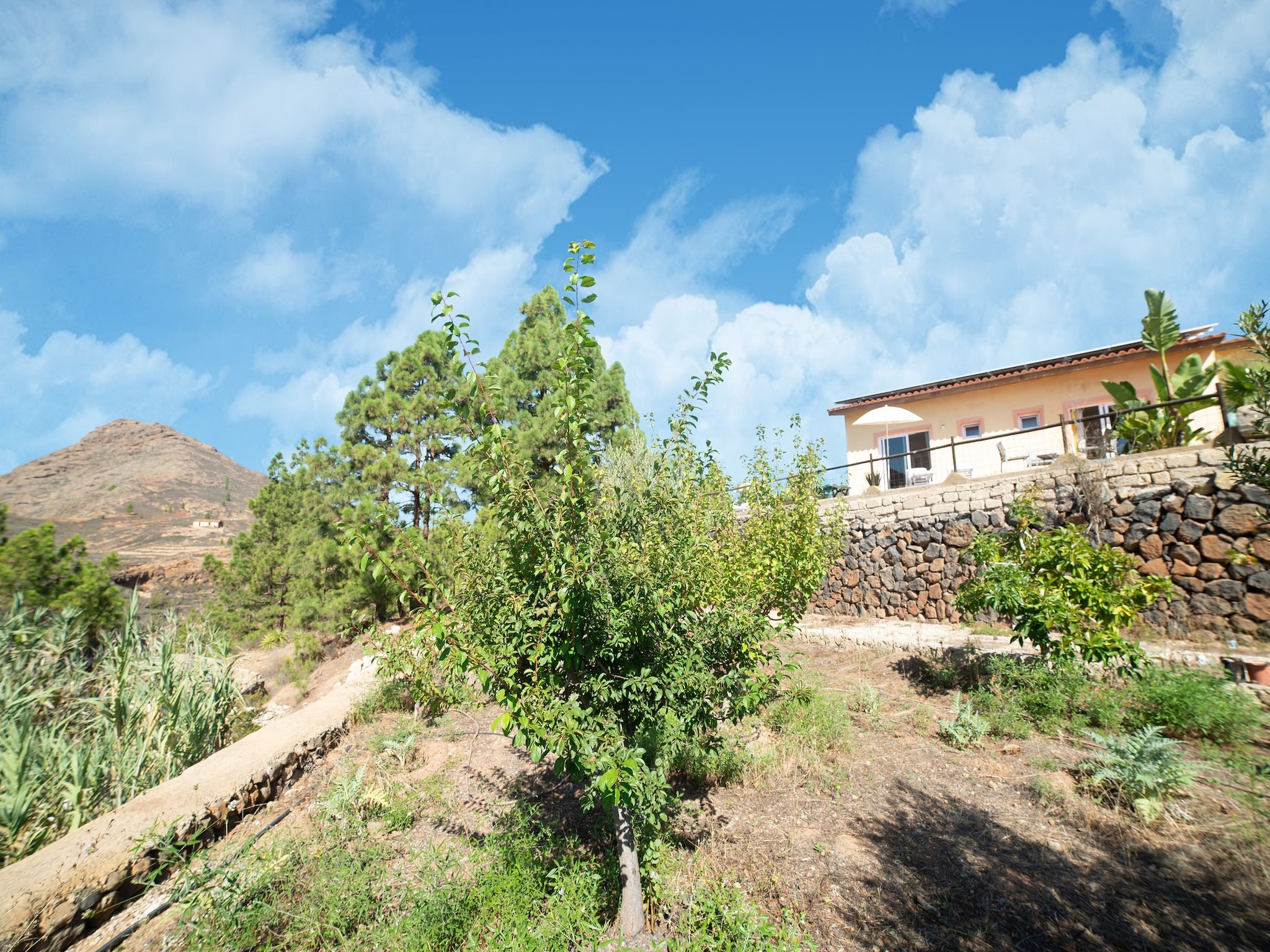 Appartamento Tenerife Nature Retreat