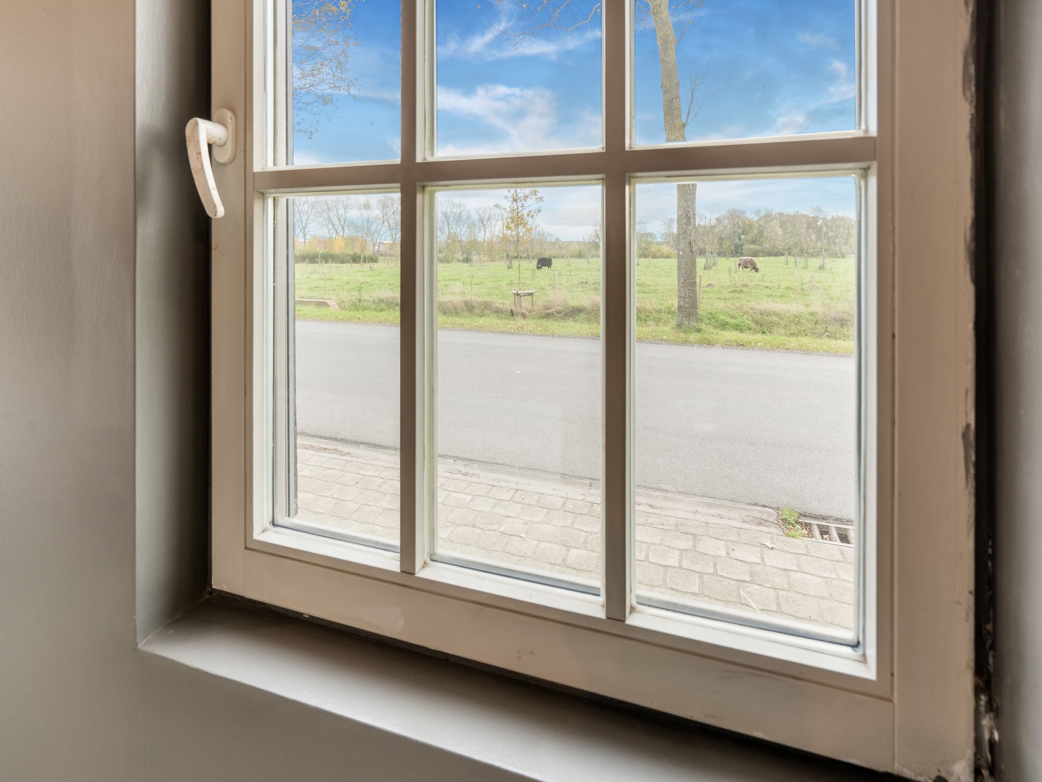 Ferienwohnung De oostster