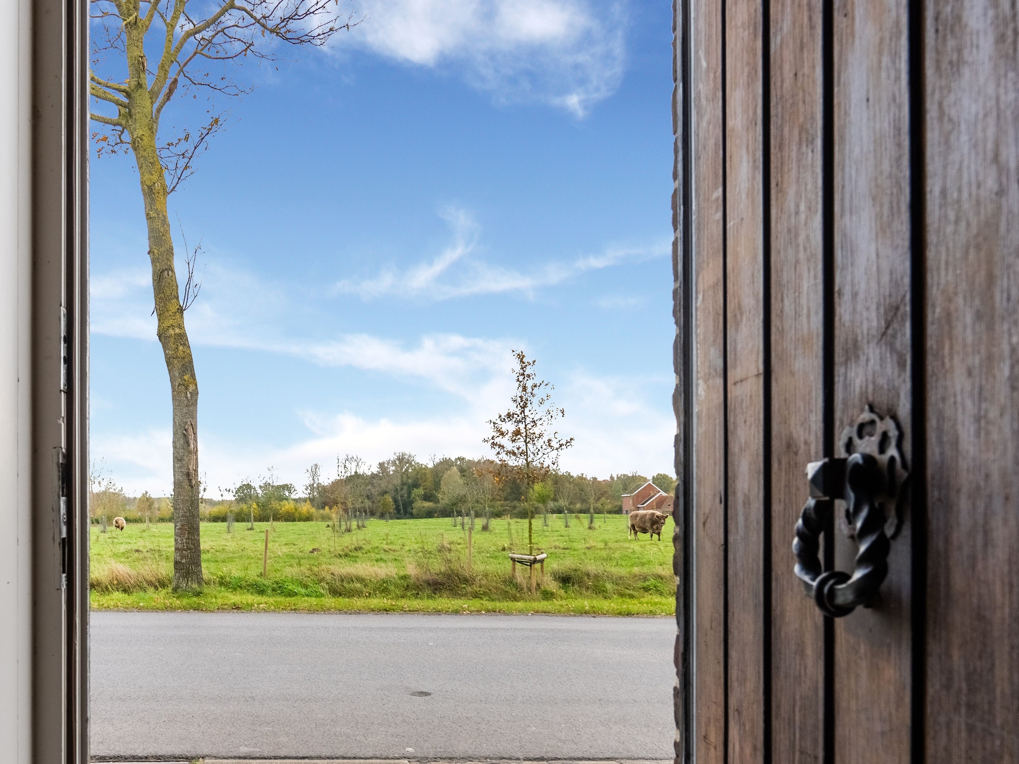 Ferienwohnung De oostster