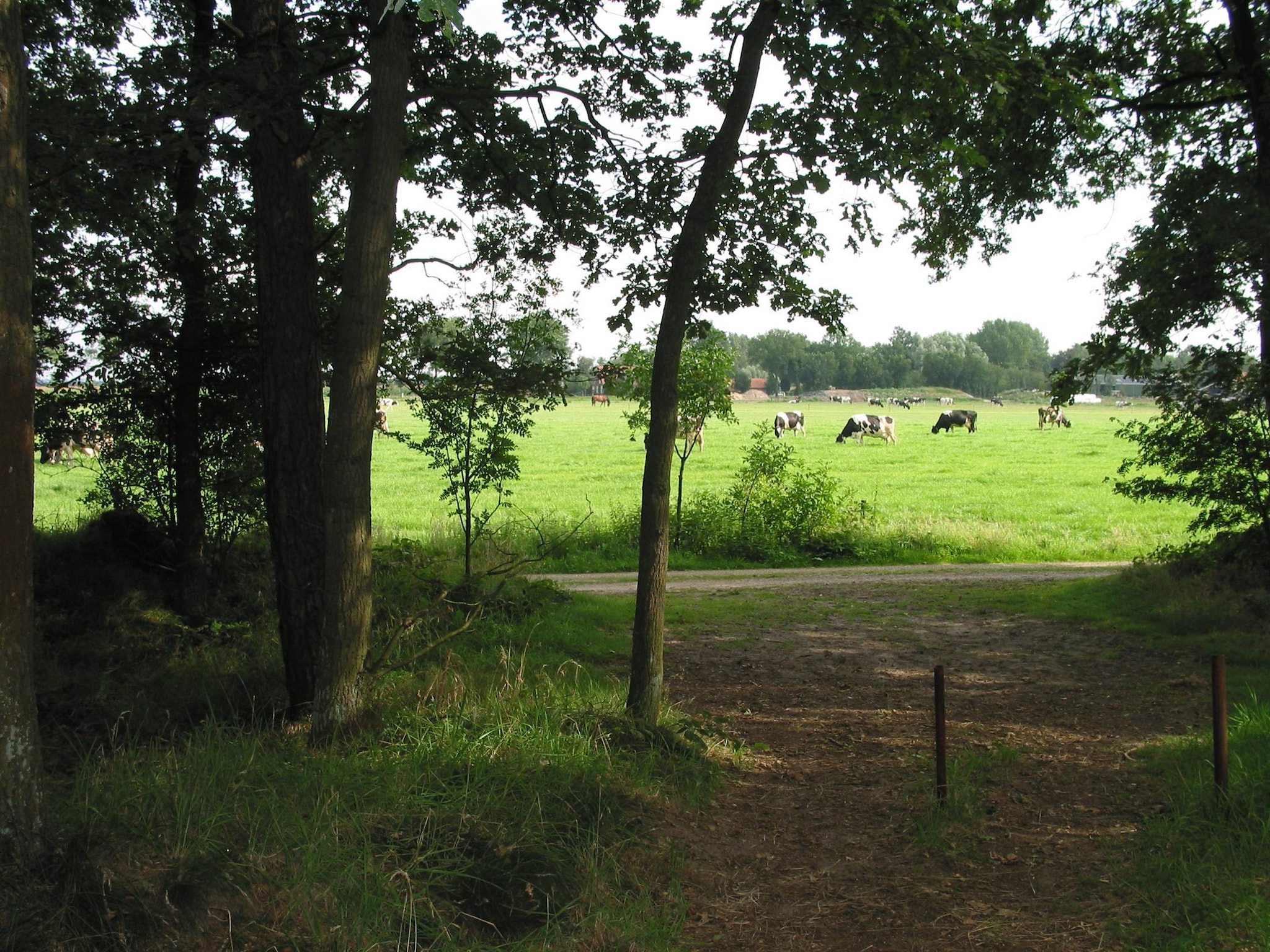   Vakantiepark Herperduin 17