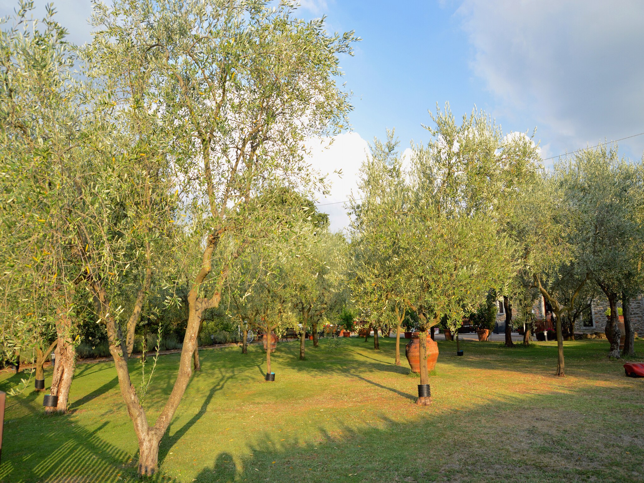 Apartamento Il Belvedere
