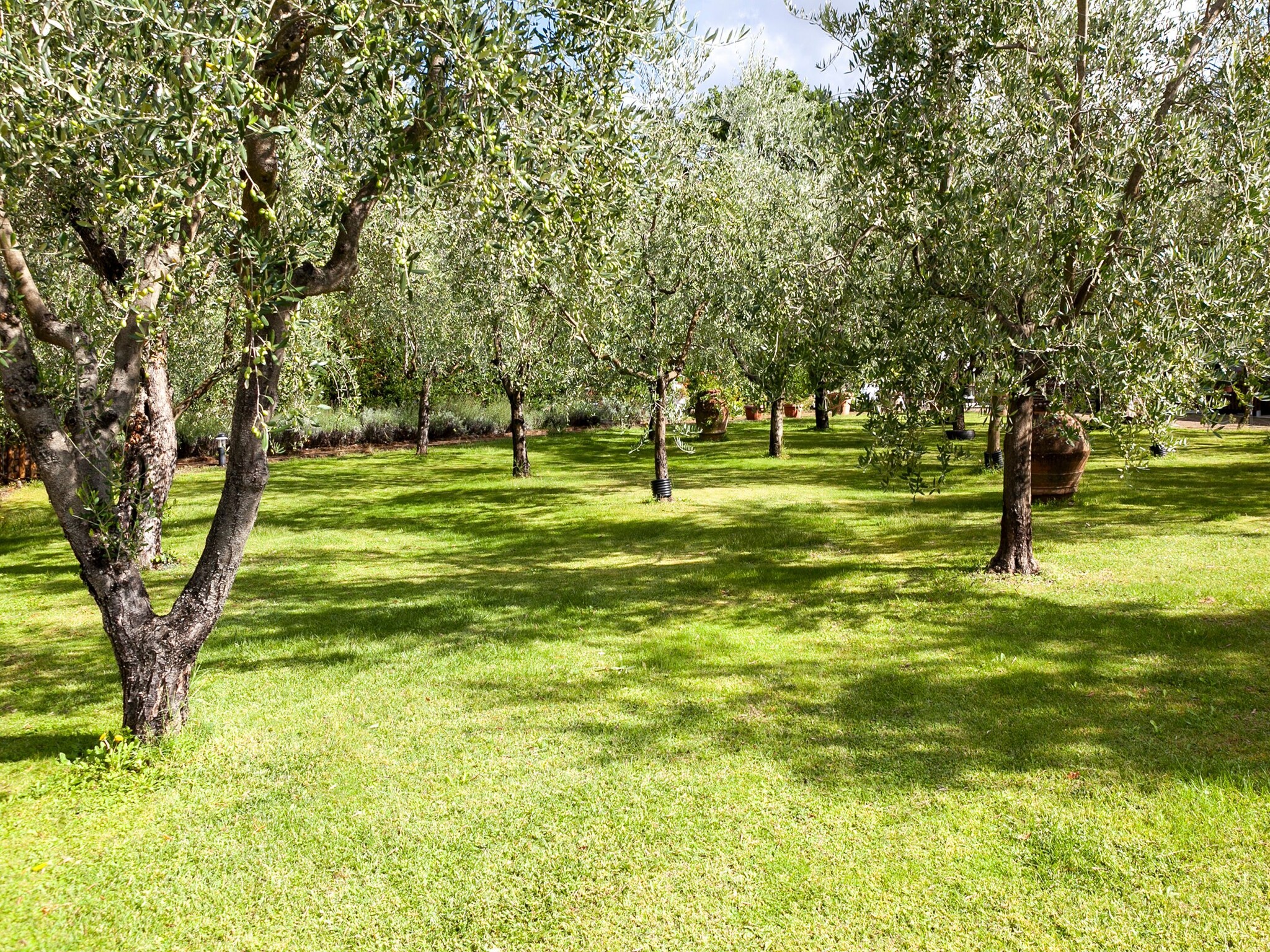 Apartamento Il Belvedere