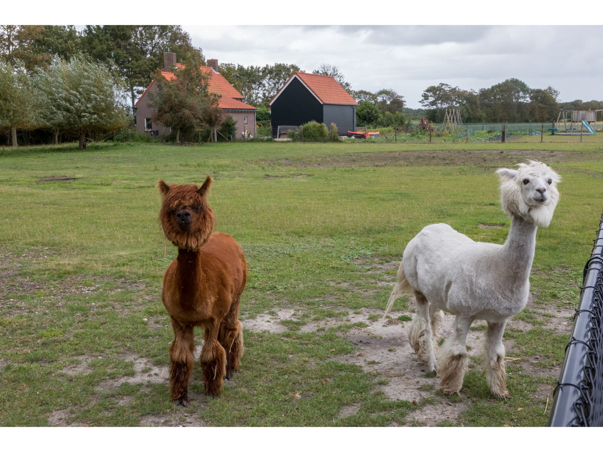   Vakantiehuis Groeneweg 3 'Jikkemien