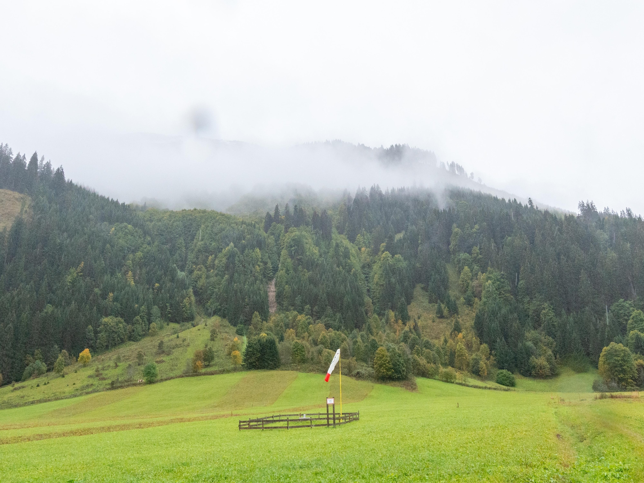 Ferienwohnung Haus Bergwald TOP 3