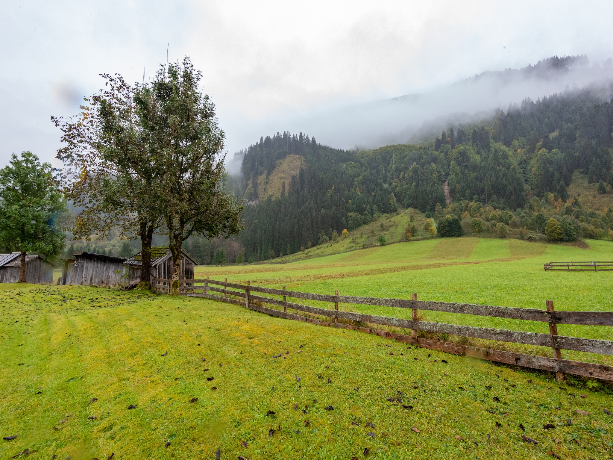 Ferienwohnung Haus Bergwald TOP 3