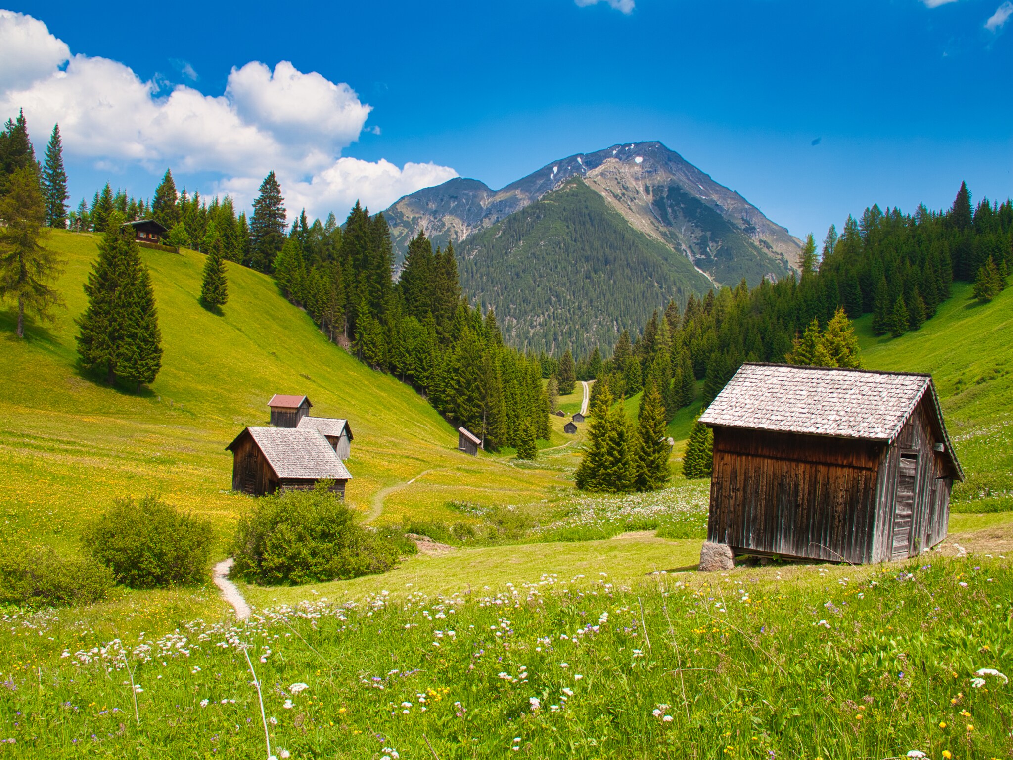 Ferienwohnung Haus Bergwald TOP 3