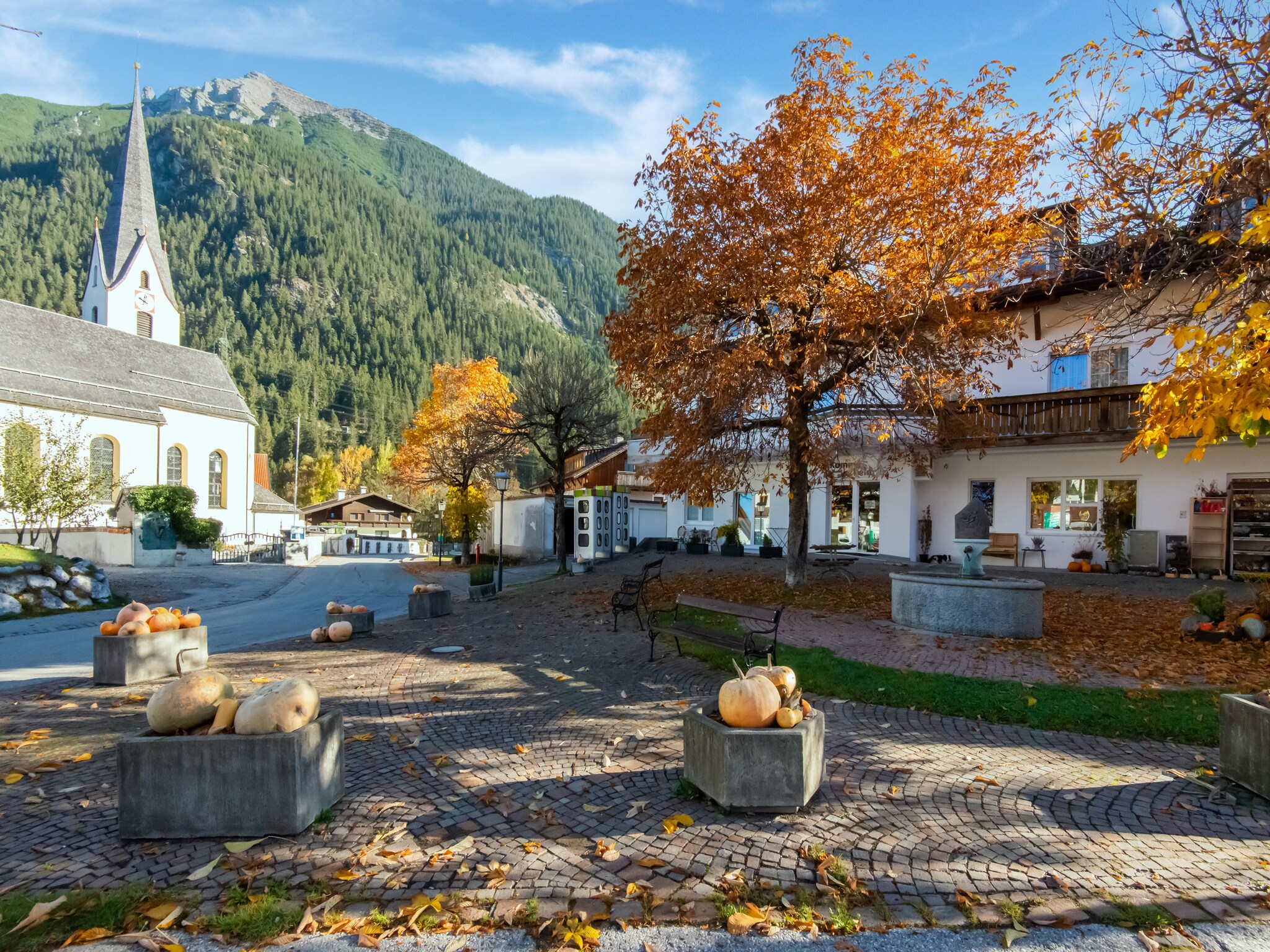 Appartement Haus Bergwald TOP 5