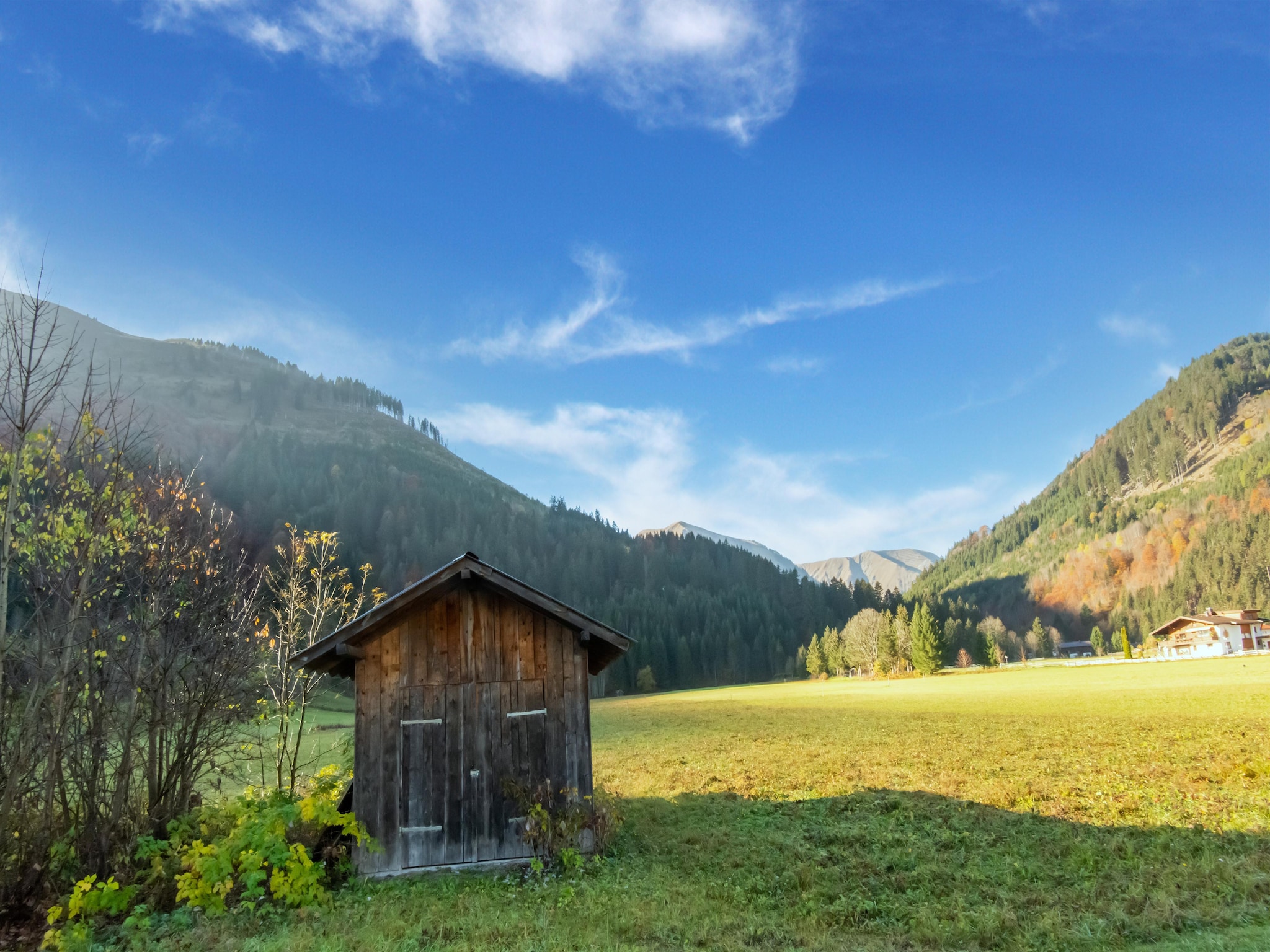 Appartement Haus Bergwald TOP 5
