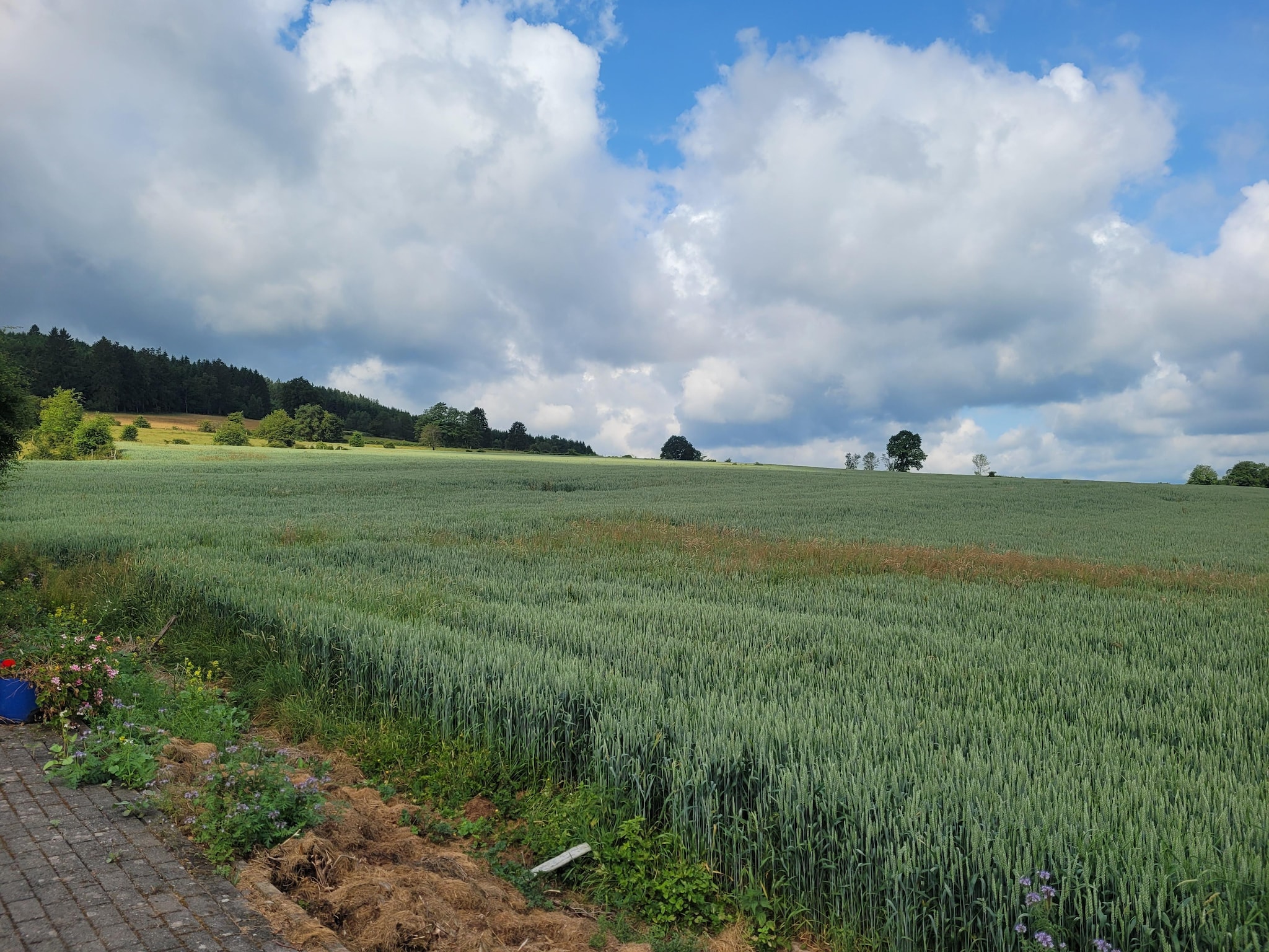   Très belle habitation à Lierneux pour 5