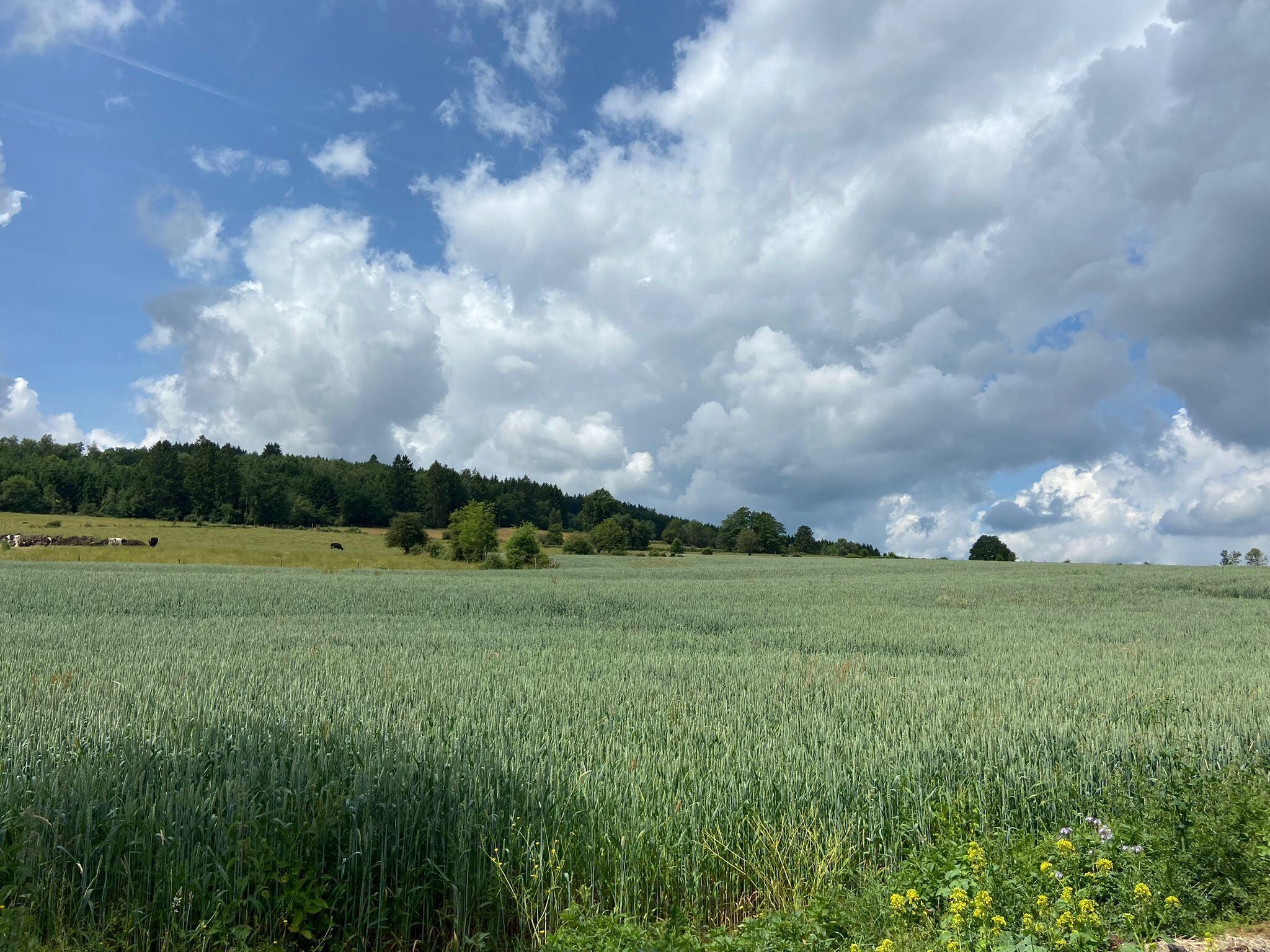   Très belle habitation à Lierneux pour 5