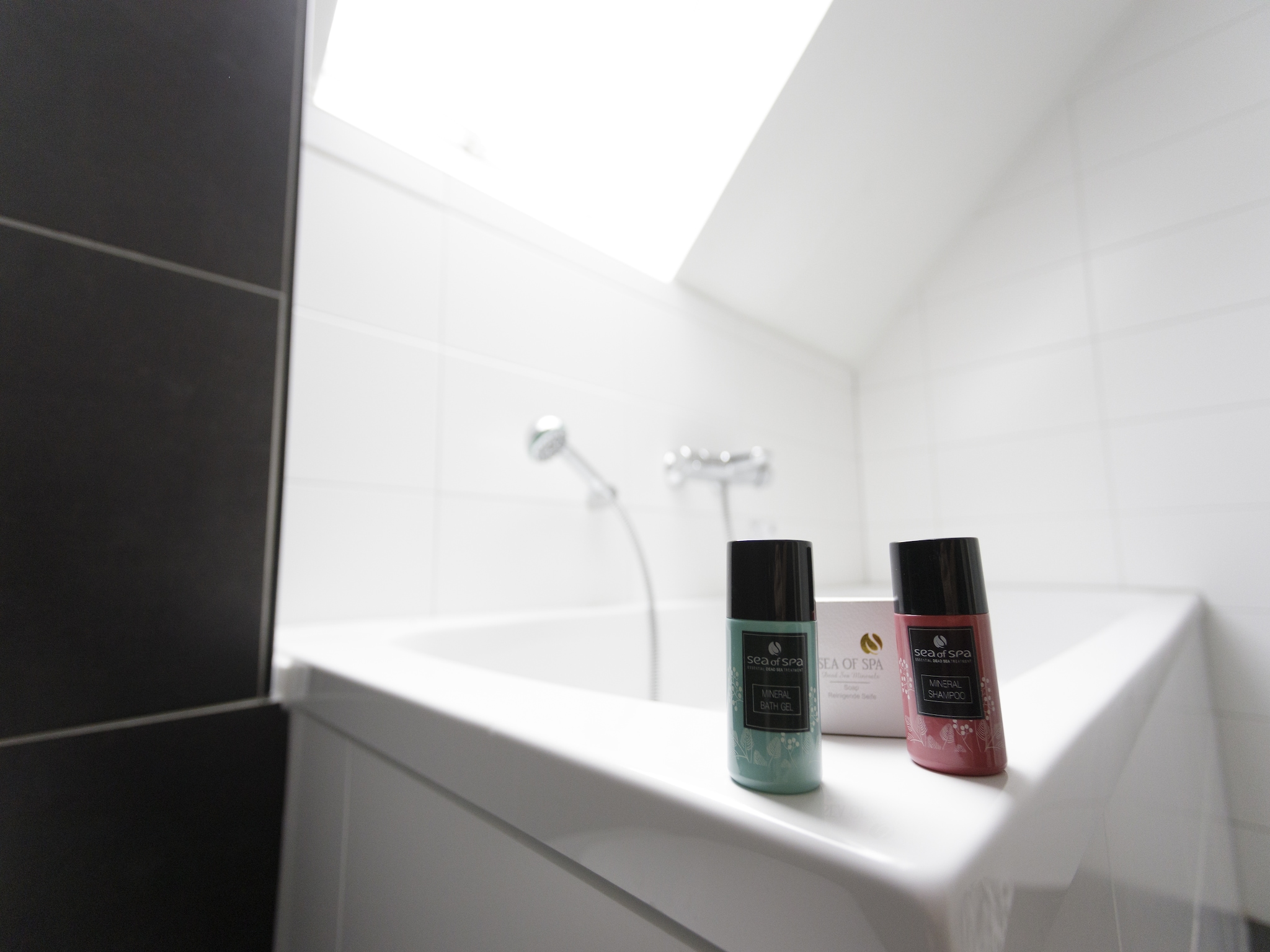 Ferienhaus Resort Eifeler Tor 9