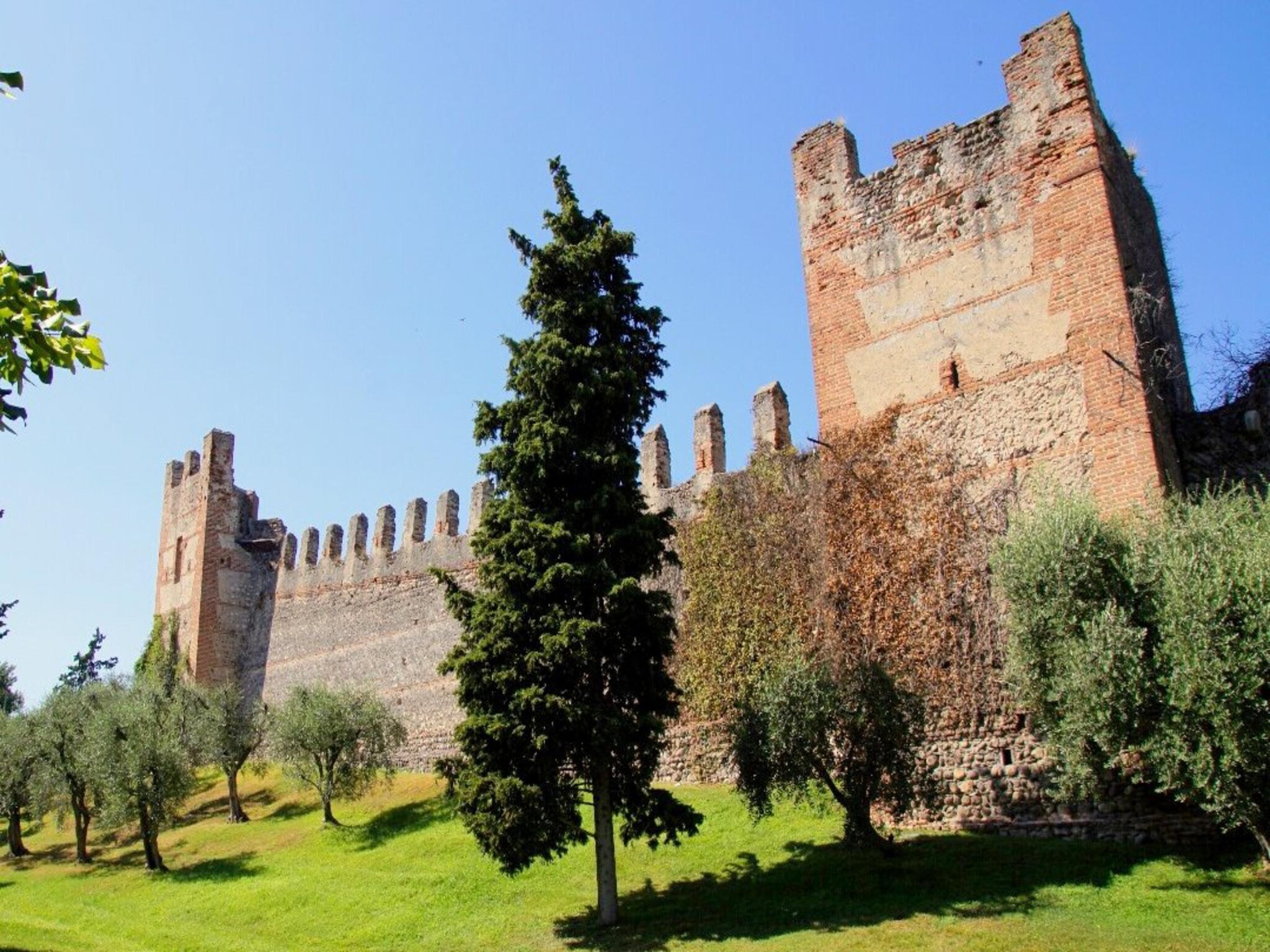   Casara Blu