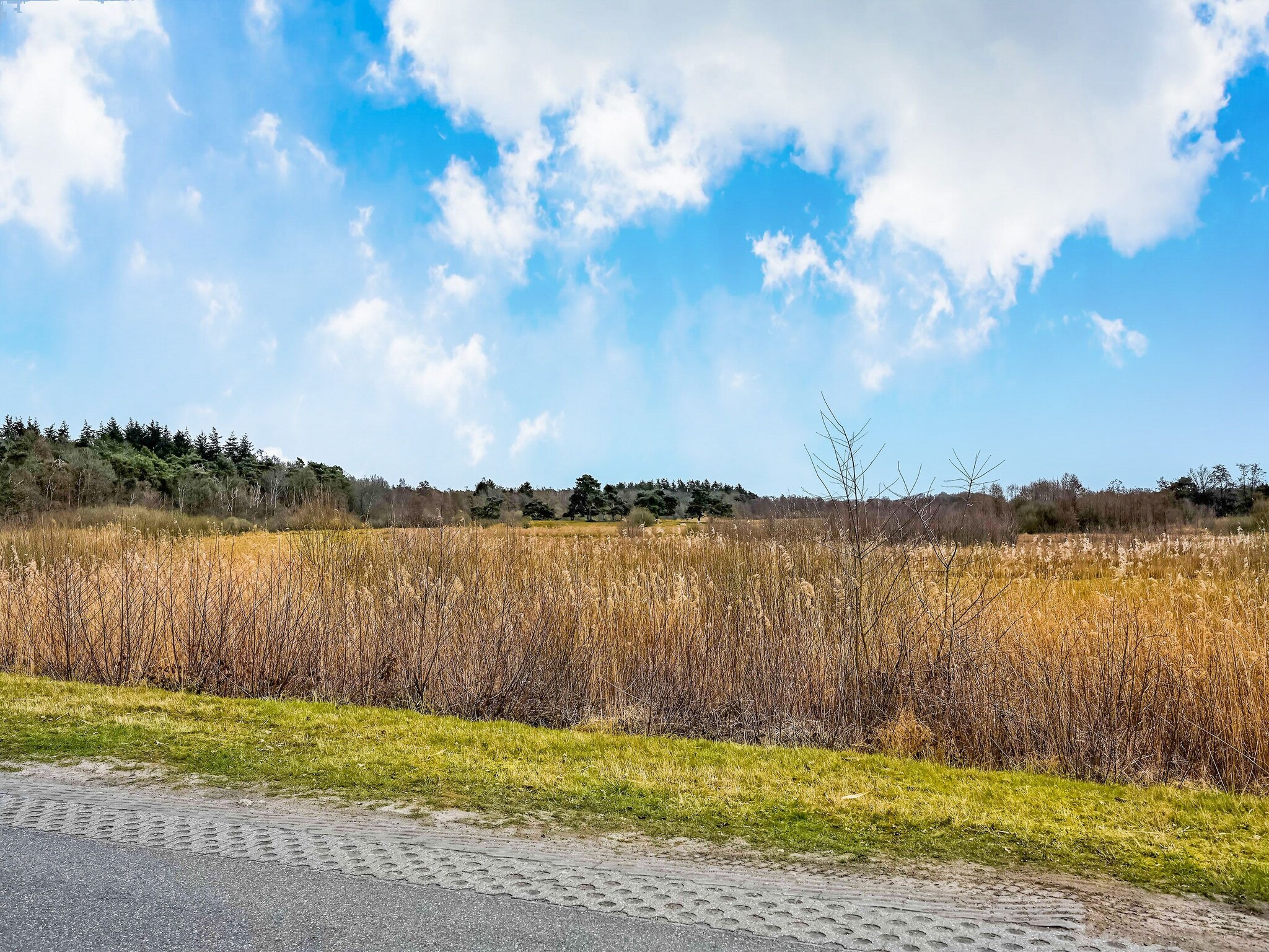 Vacation home Huisje 37