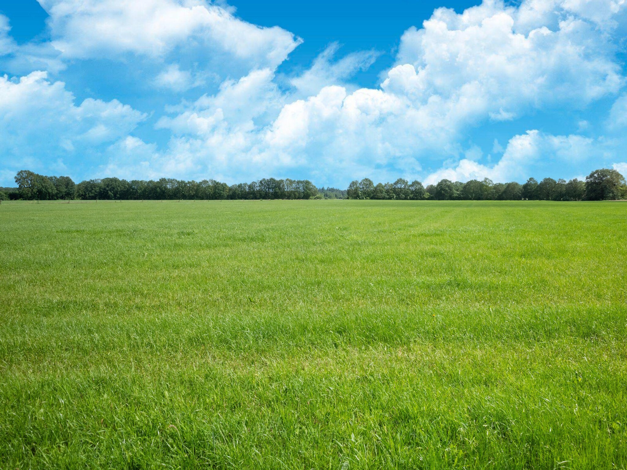 Vacation home Huisje 37