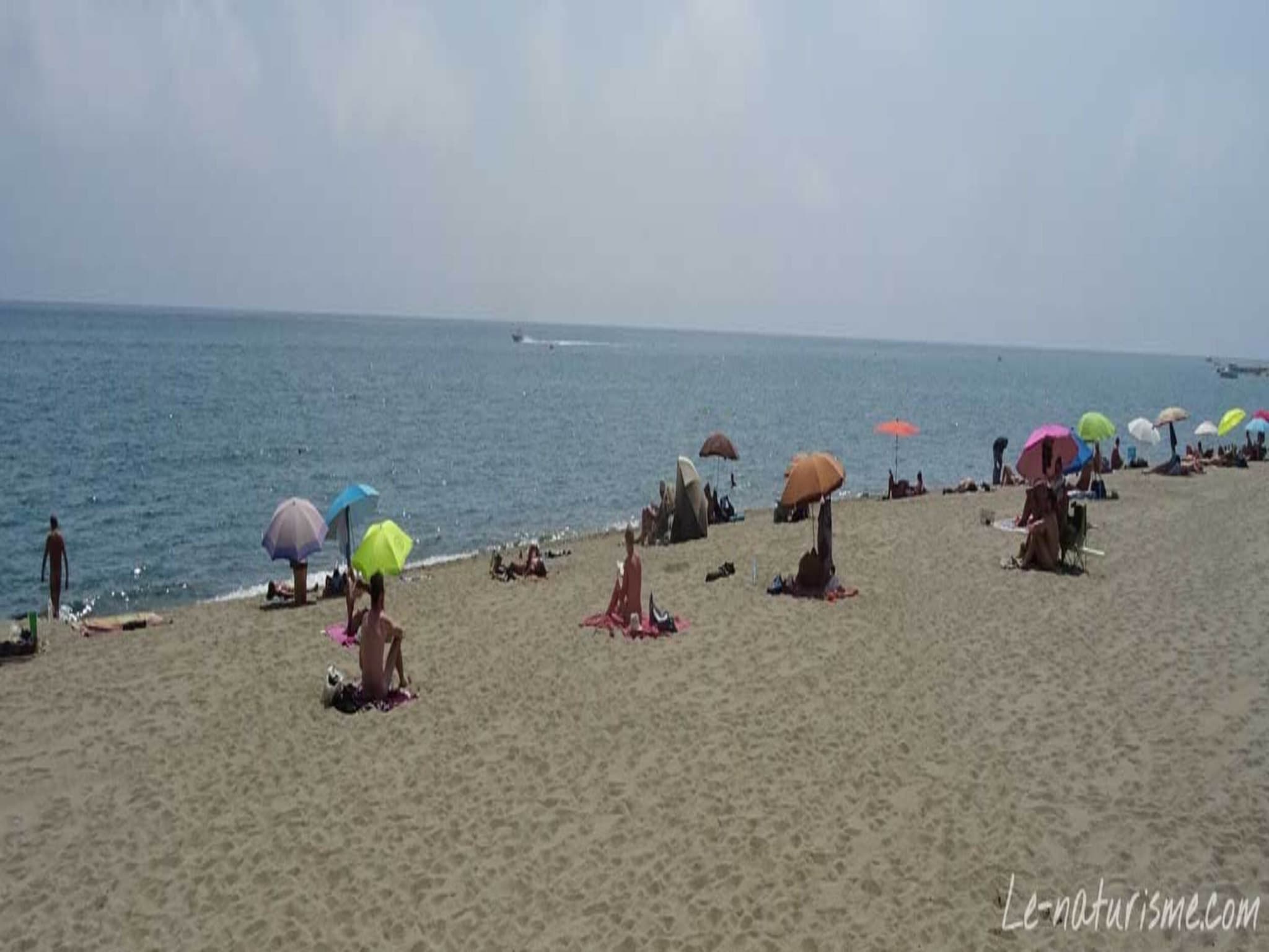   Mas de Torreilles 3