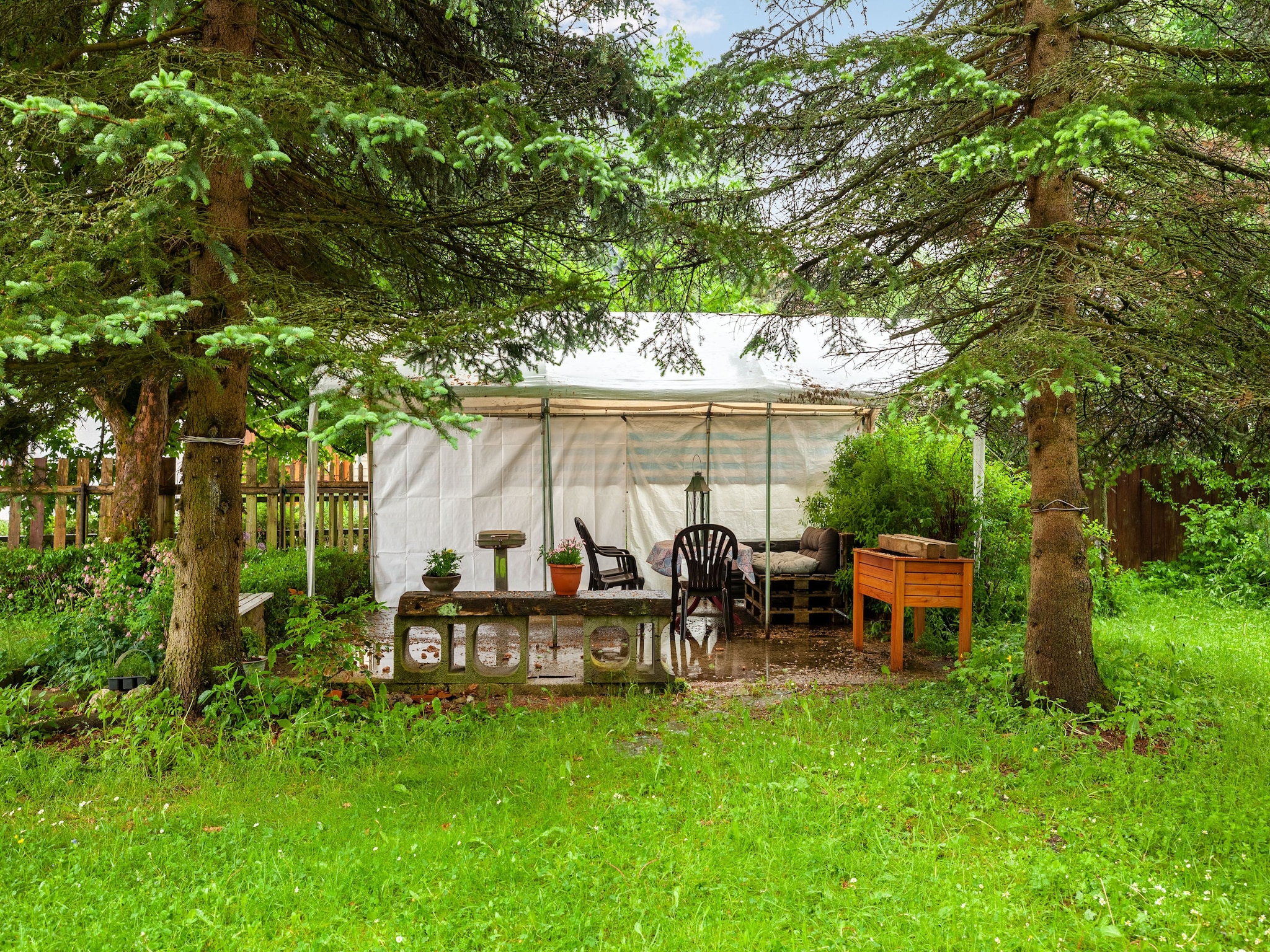 Appartement Benneckenstein