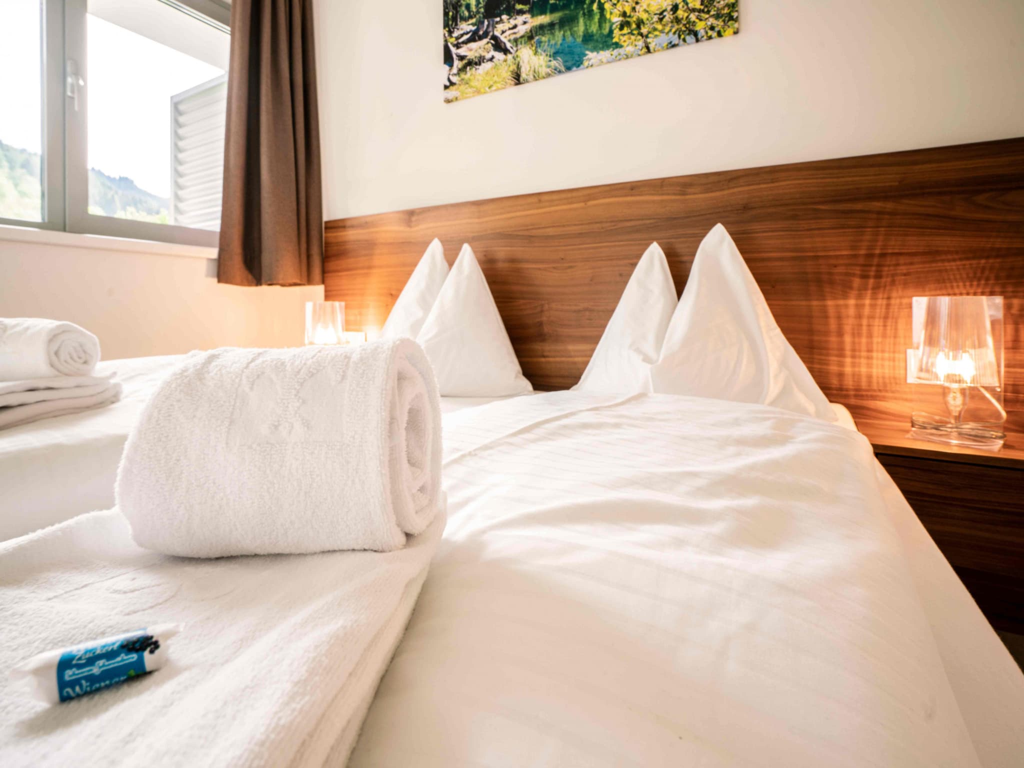 Ferienwohnung Tauernresidence Radstadt 3