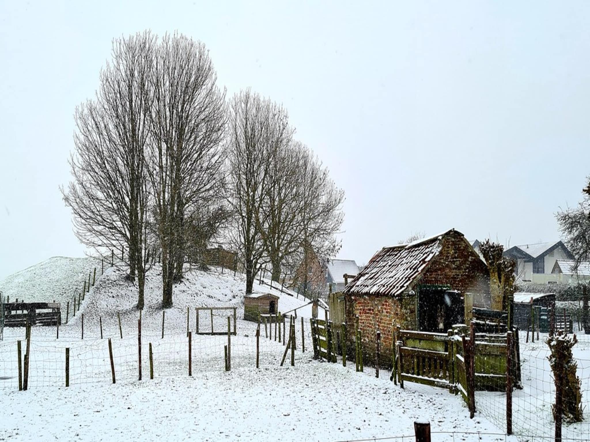   Zoutelandseweg 2 Biggekerke