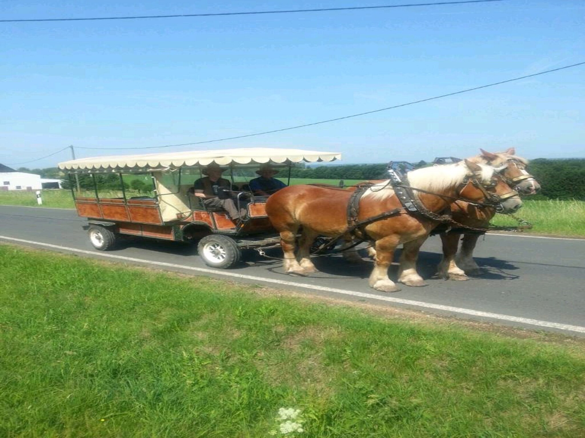 Leilighet Mobilheim