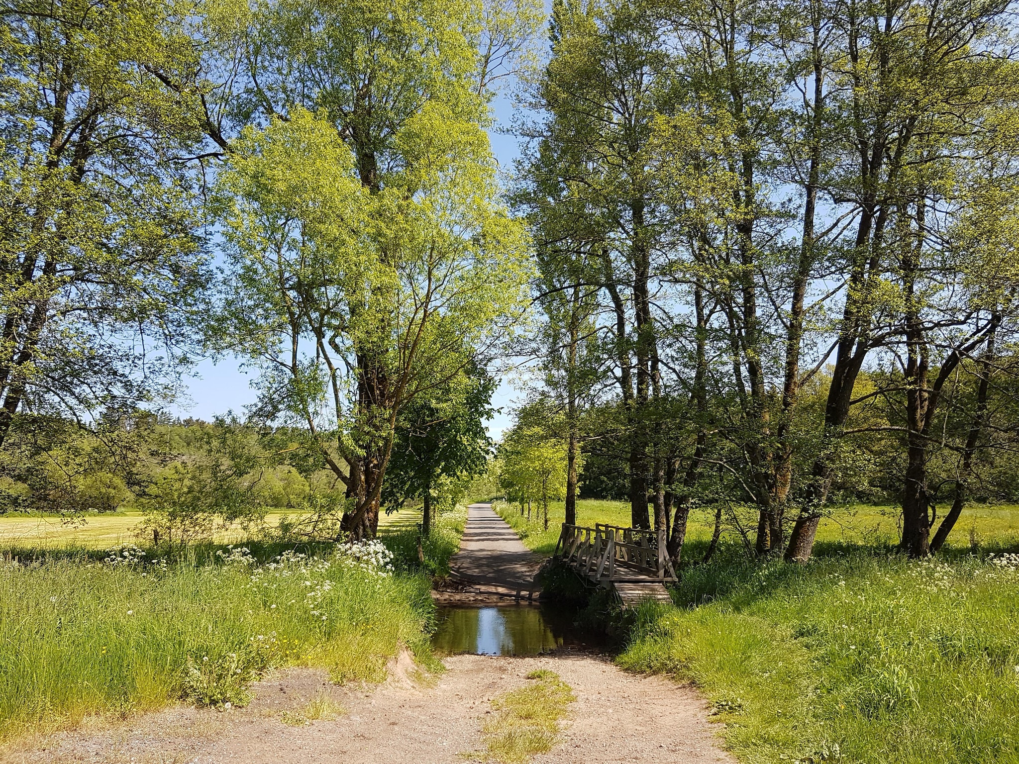 Leilighet Mobilheim