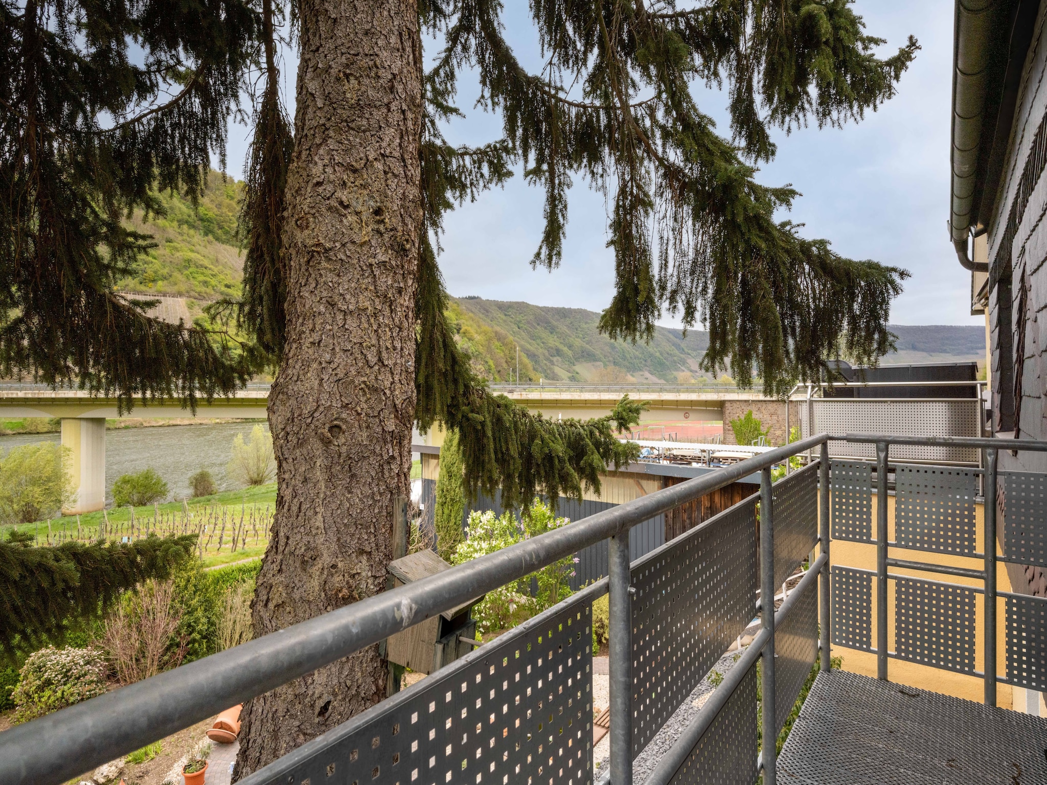 Ferienwohnung Ferienwohnung mit Moselblick