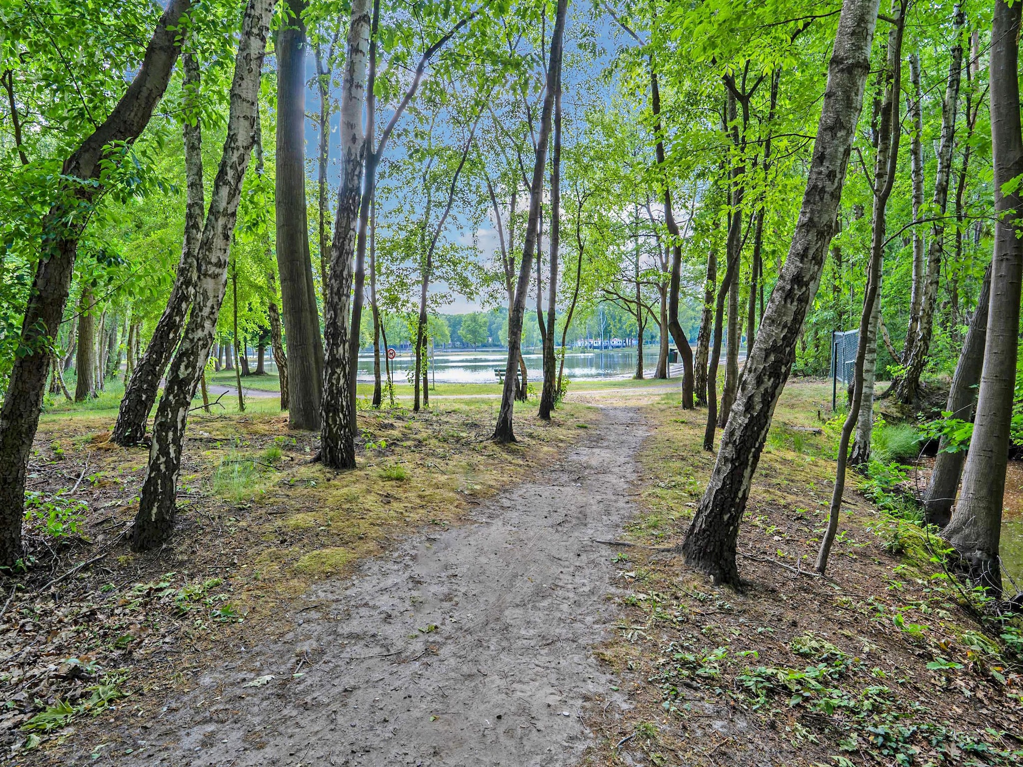   Sonnevijver NR A50
