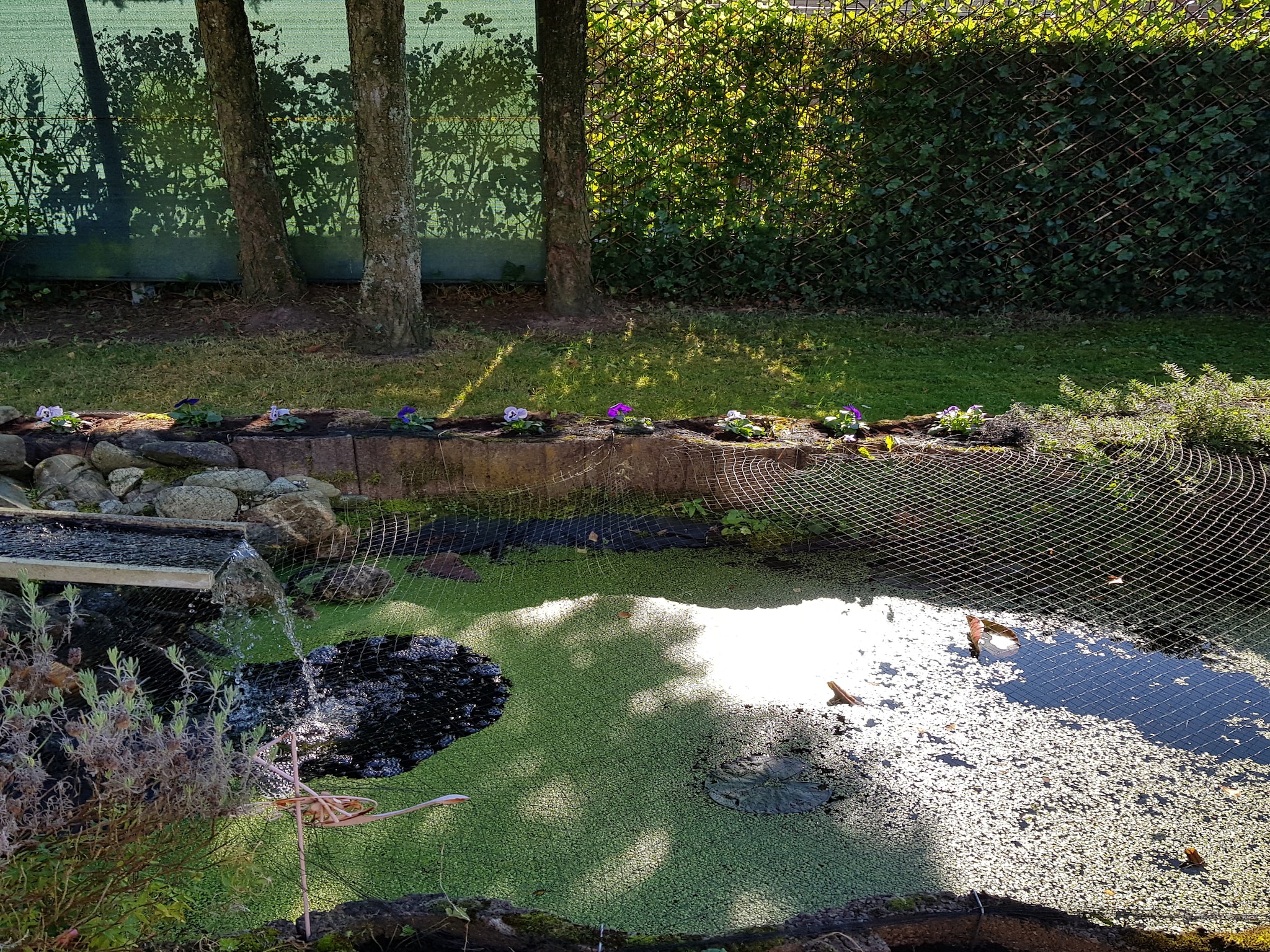   Sonnevijver NR A50