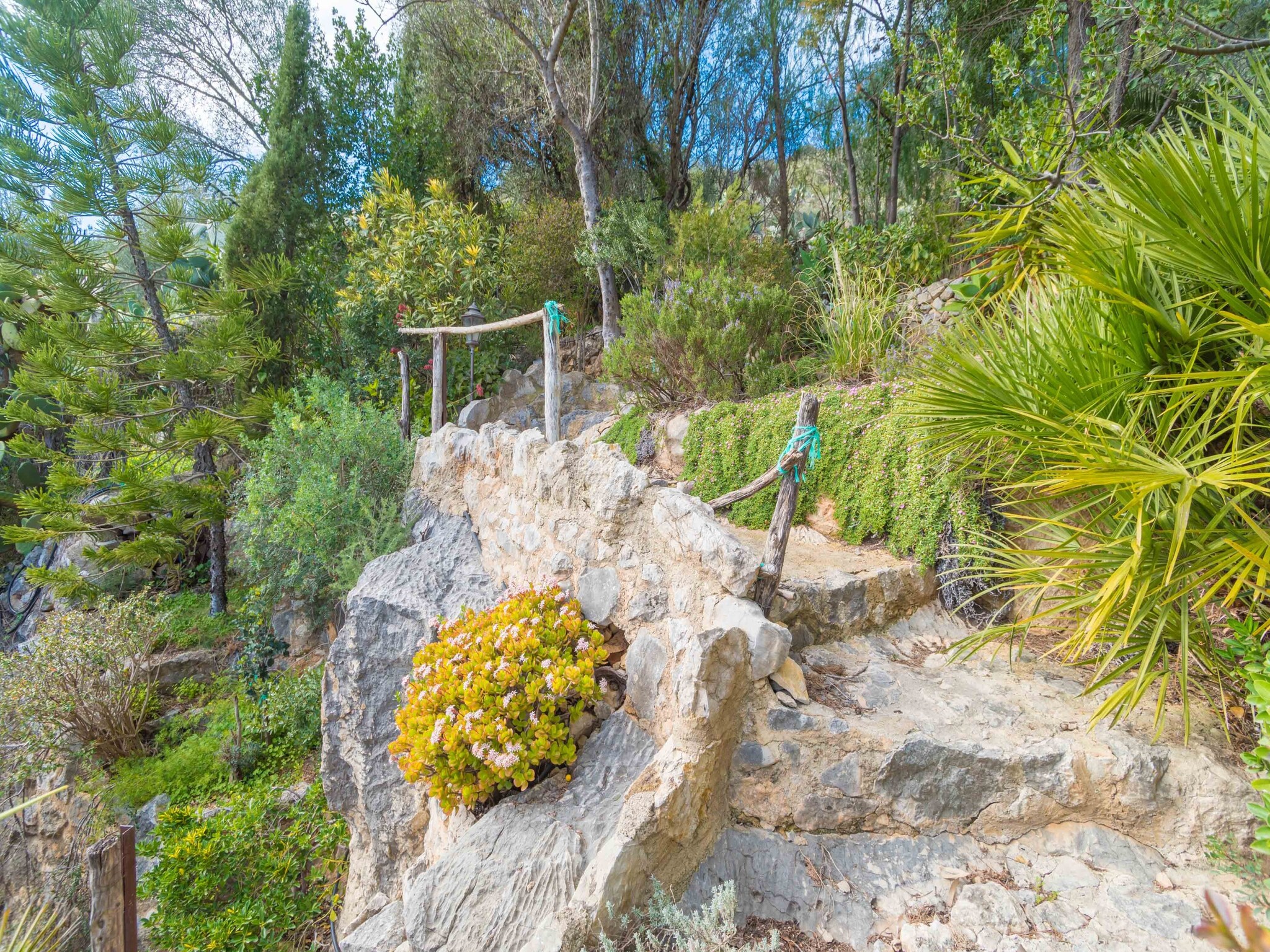 Casa de vacaciones Ca Na Carme (alaronera)
