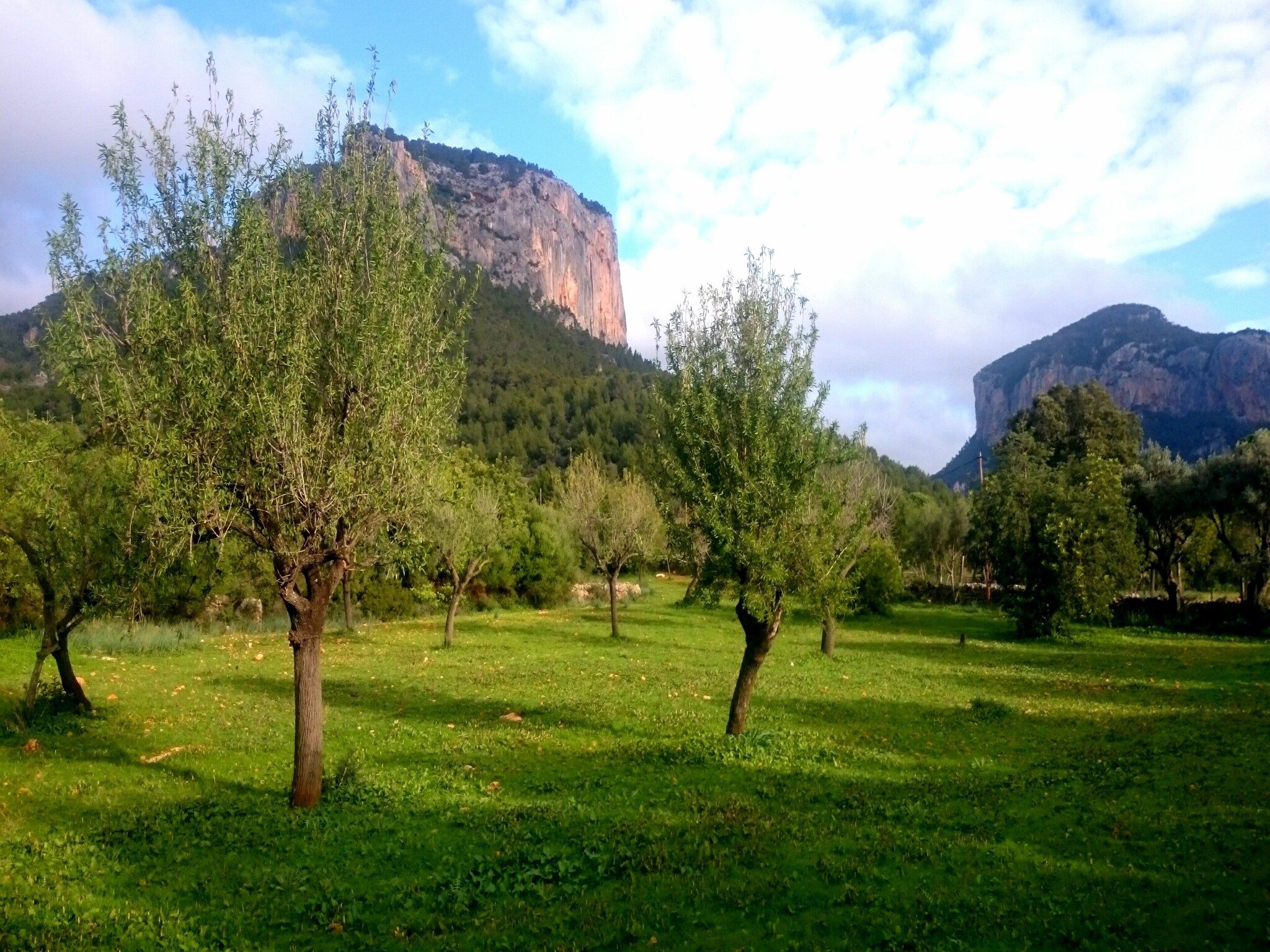 Casa de vacaciones Ca Na Carme (alaronera)