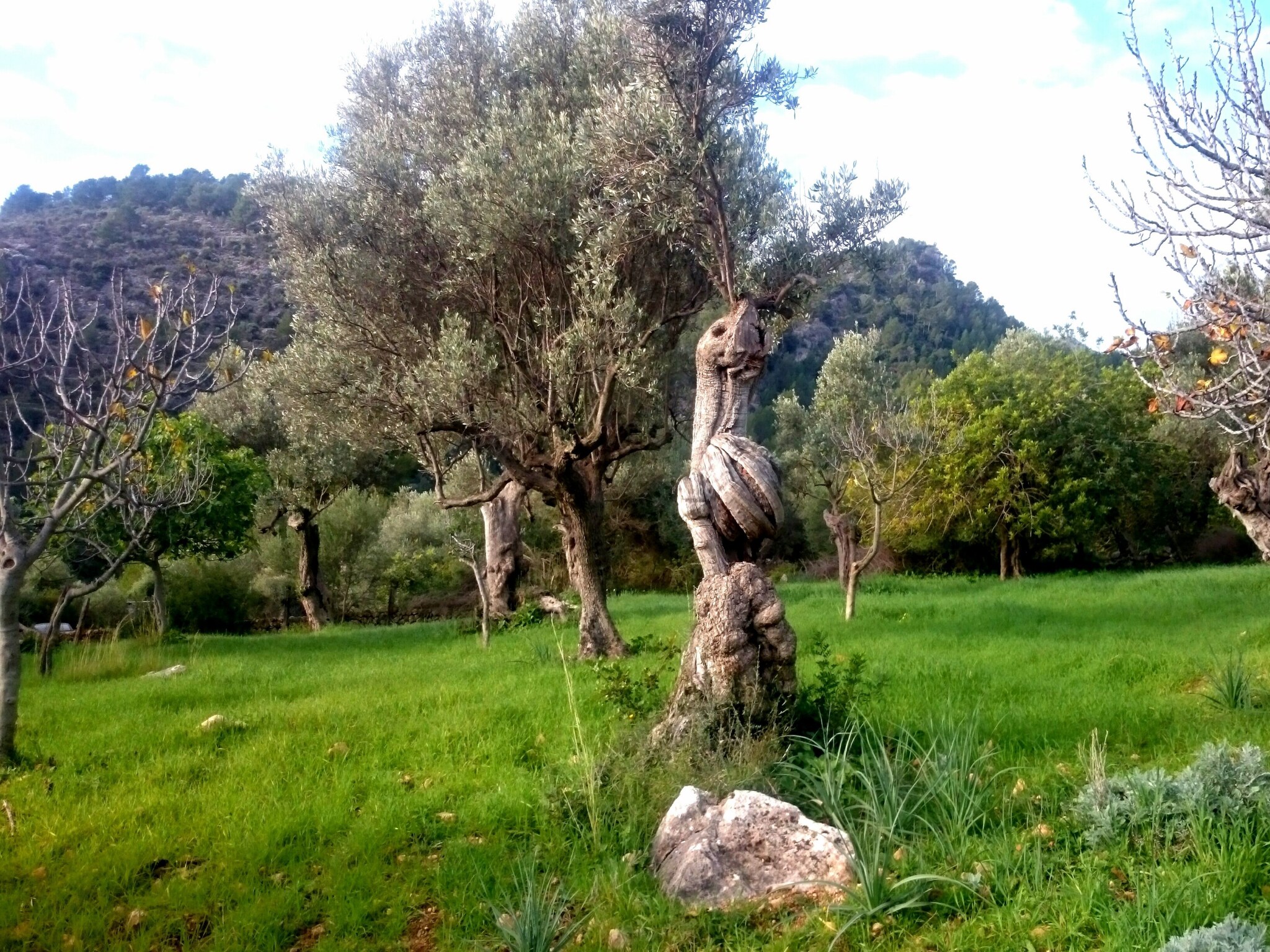 Casa de vacaciones Ca Na Carme (alaronera)