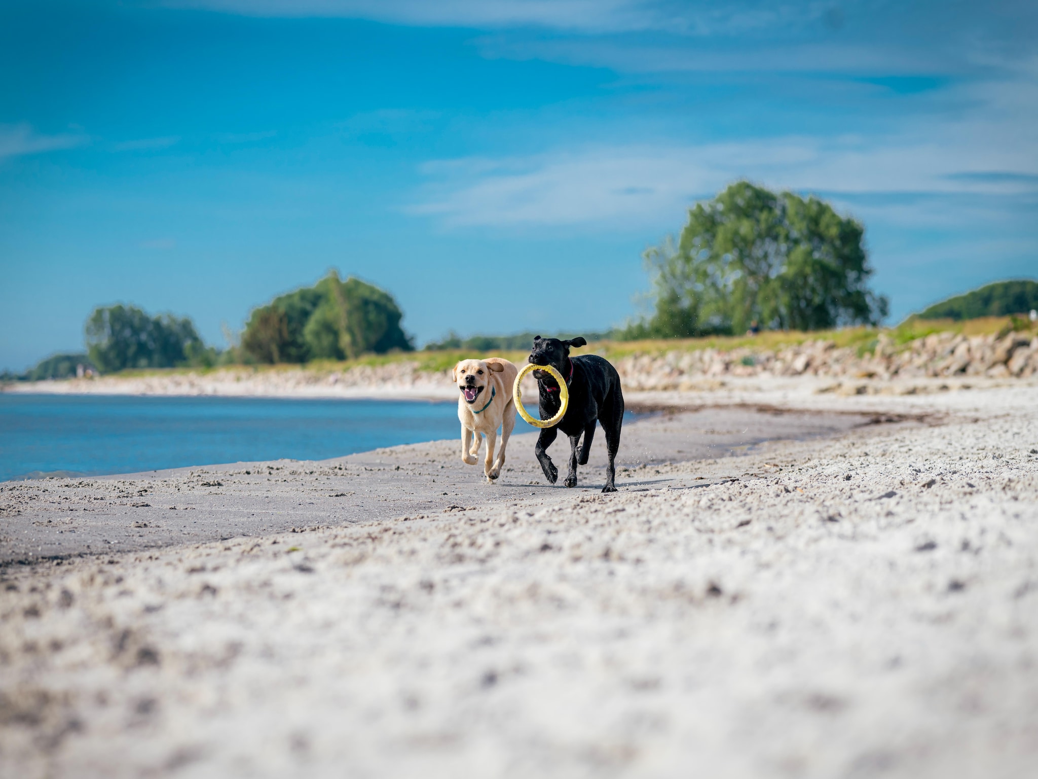   Ostseeresort Dampland-Reihenhaus Normalpreis
