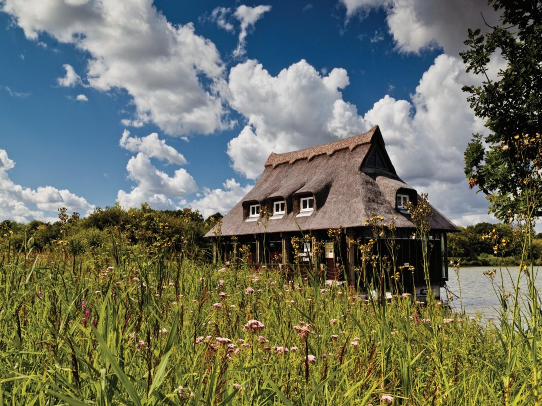 Ferienwohnung Villa Linde, Göhren-Typ A