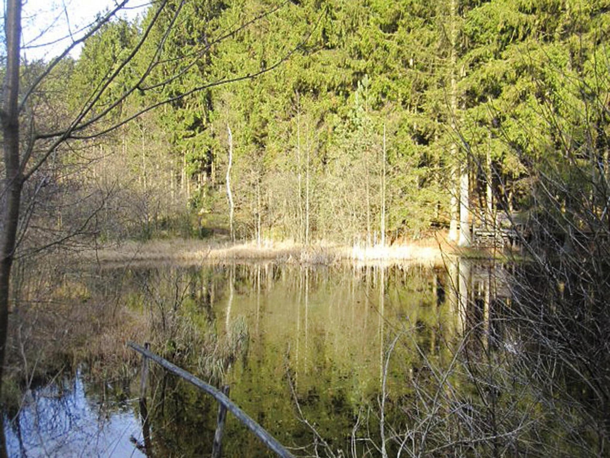Ferienwohnung Zaunkönig