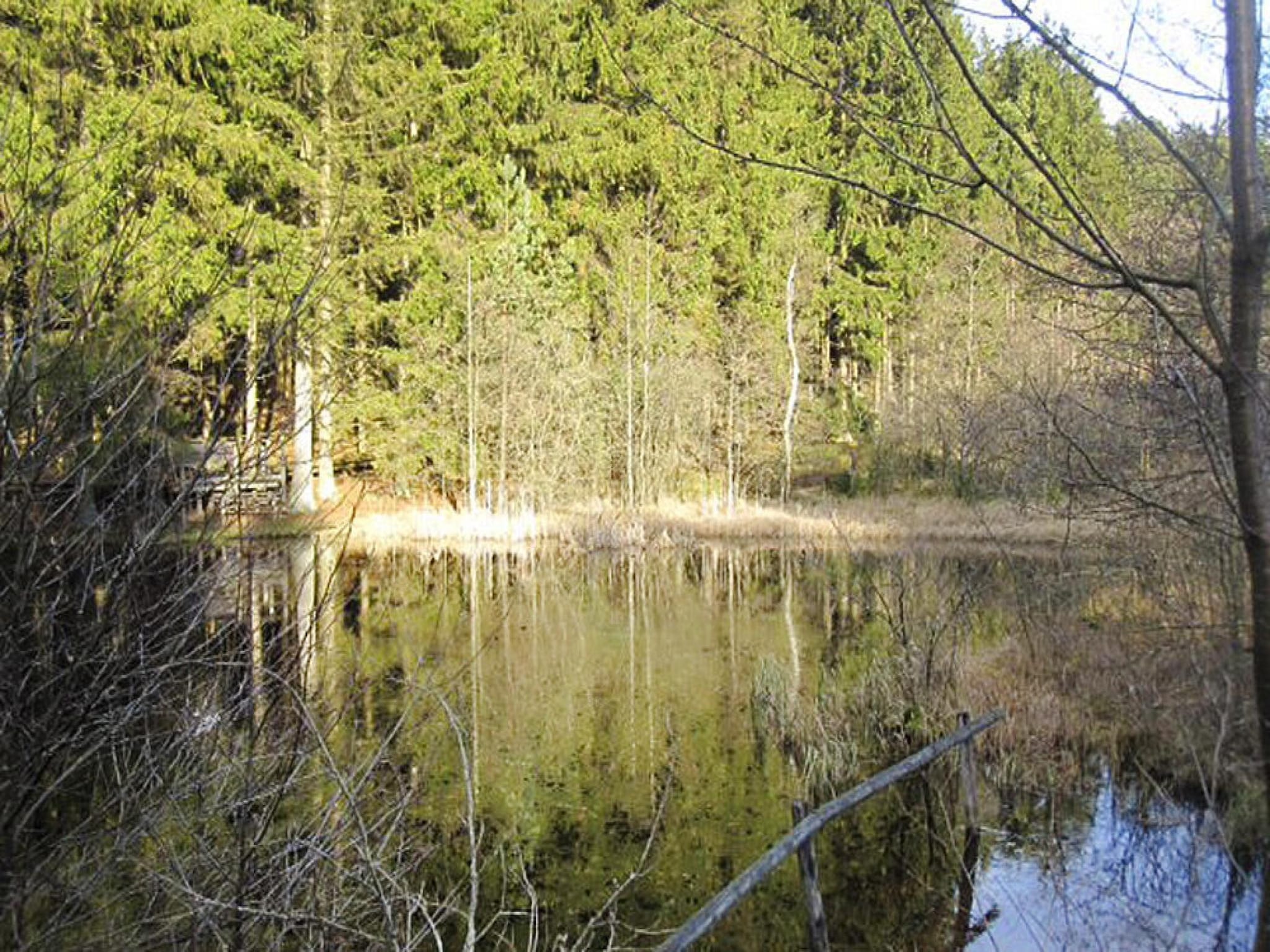 Ferienwohnung Zaunkönig