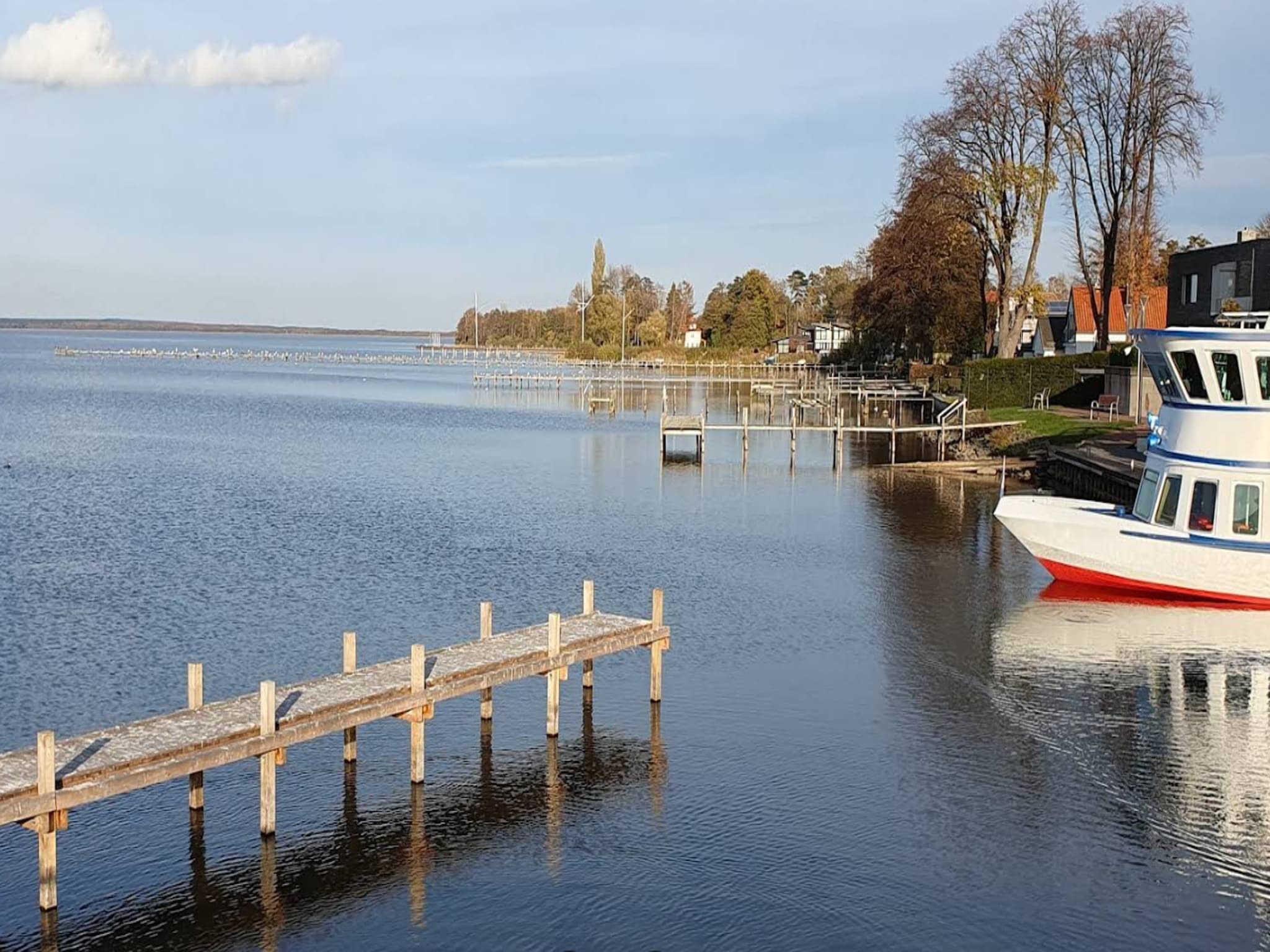   Anke 79