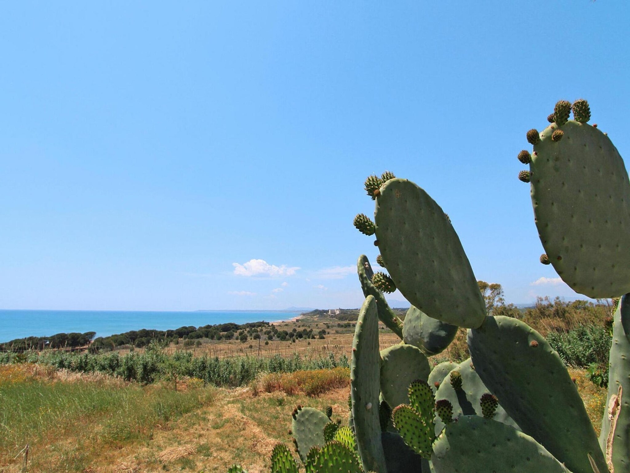 Ferienwohnung Apartments, Castelvetrano-Trilo Antica Sicilia