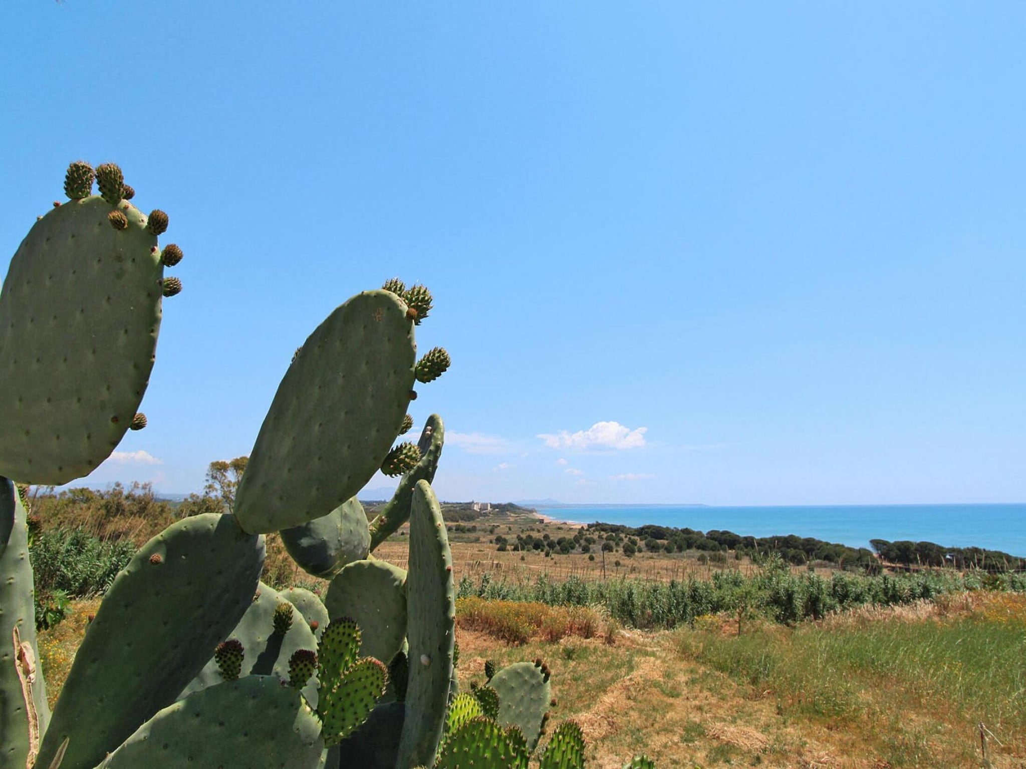 Ferienwohnung Apartments, Castelvetrano-Trilo Antica Sicilia