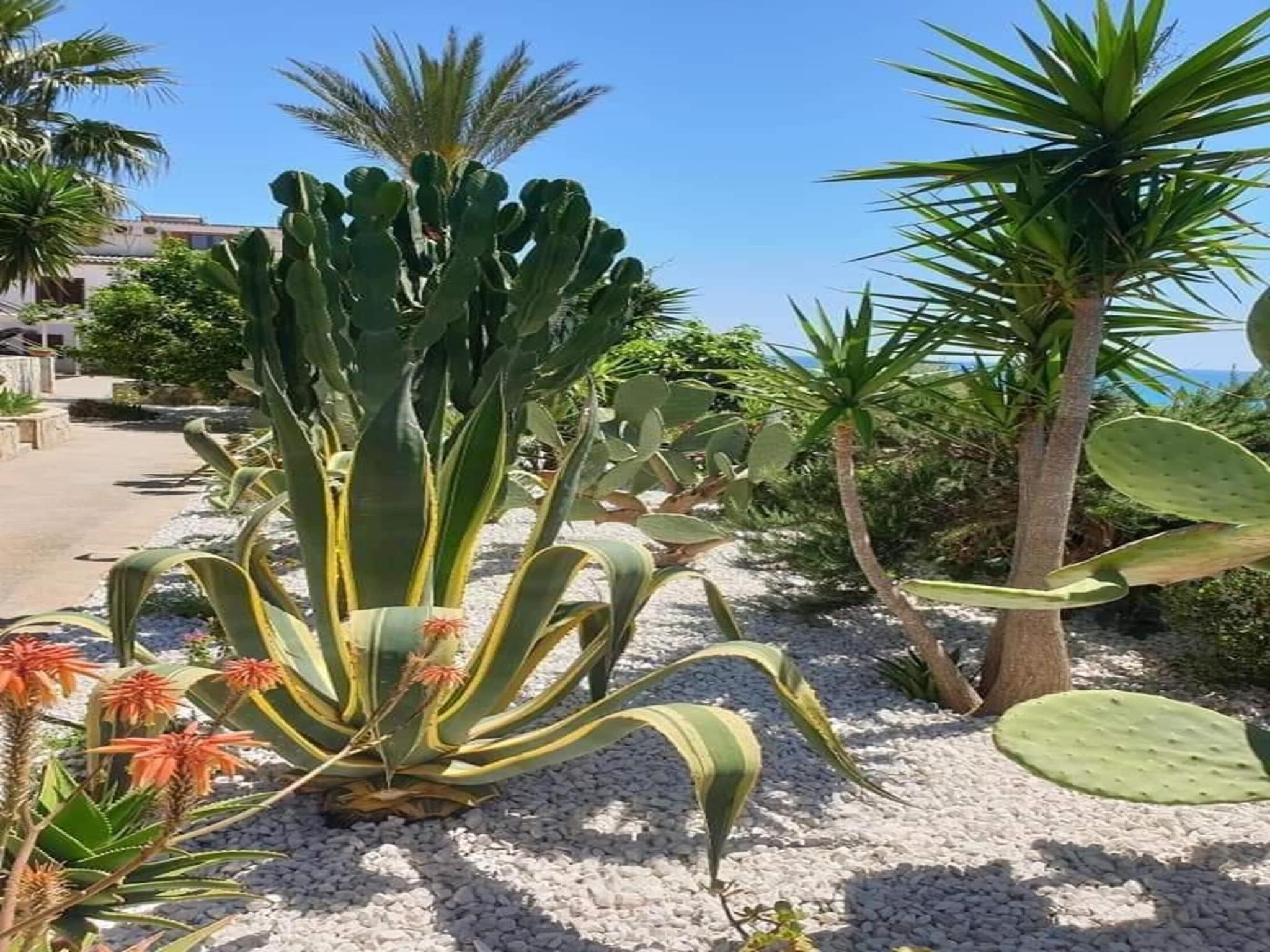 Ferienwohnung Apartments, Castelvetrano-Trilo Antica Sicilia