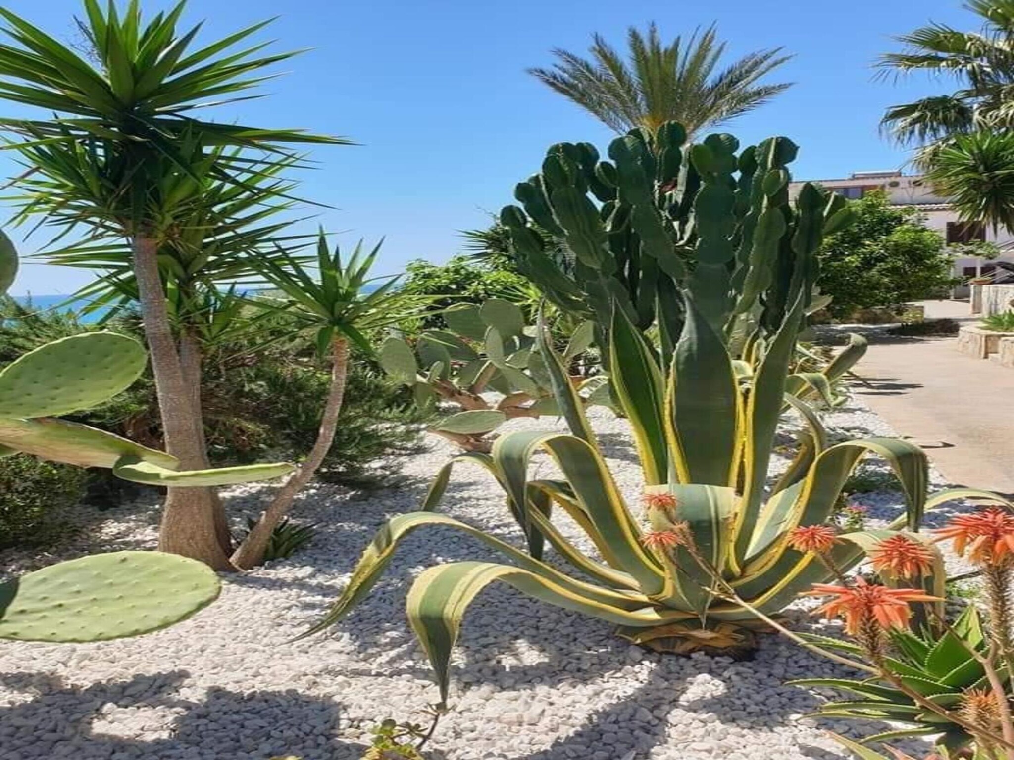 Ferienwohnung Apartments, Castelvetrano-Trilo Antica Sicilia