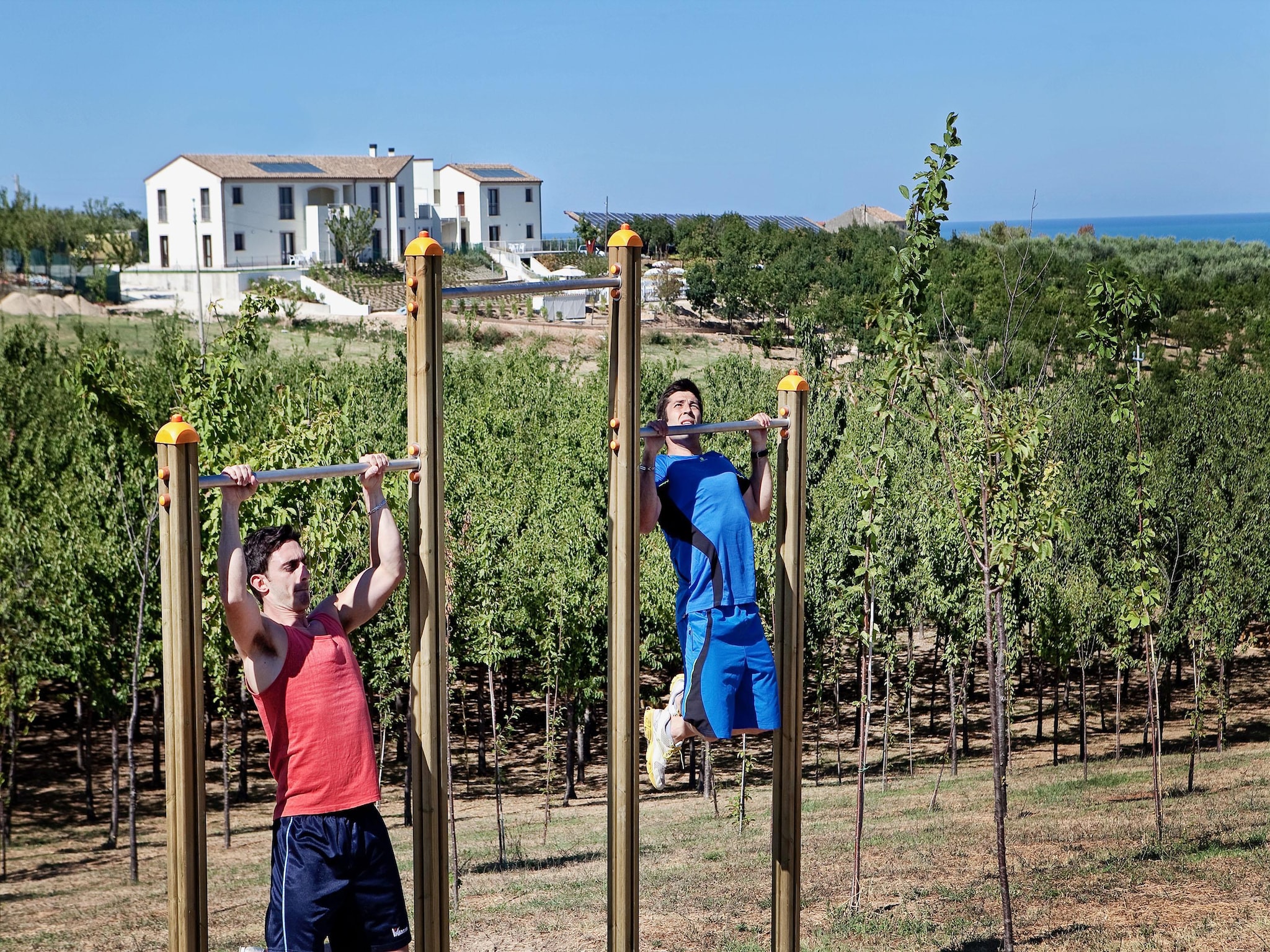 公寓 Holiday resort Contea dei Ciliegi Pedaso Typ Bilo