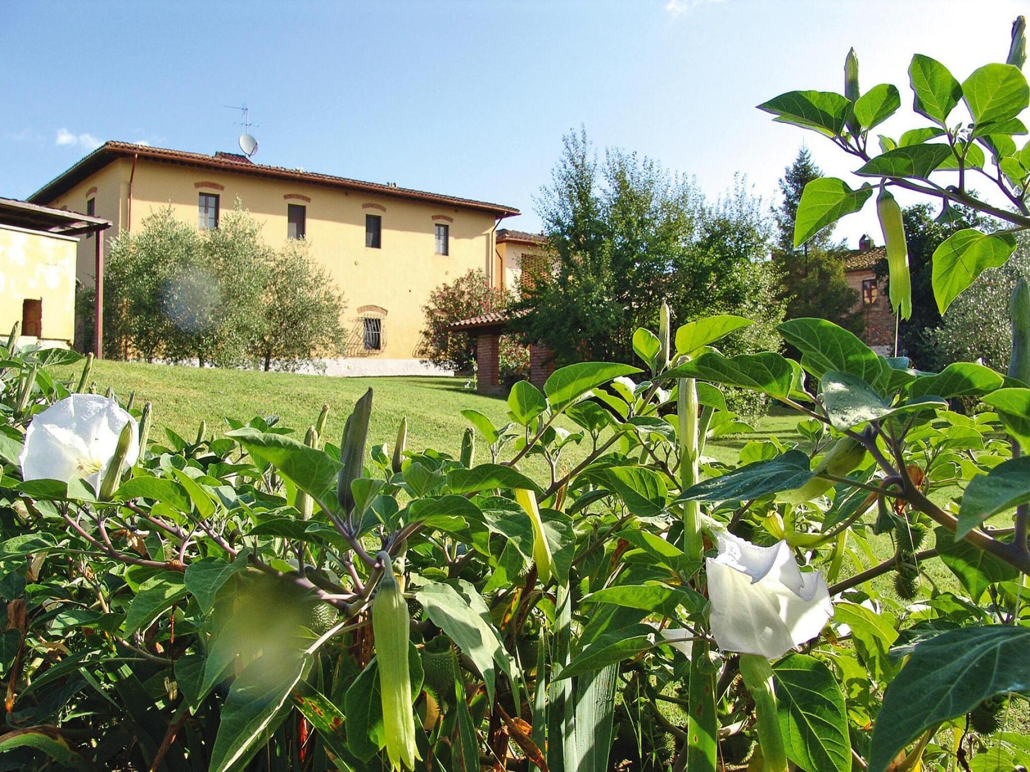 Ferienwohnung Agri-tourism Poggio al Sole Vinci Type Rosa di Bos