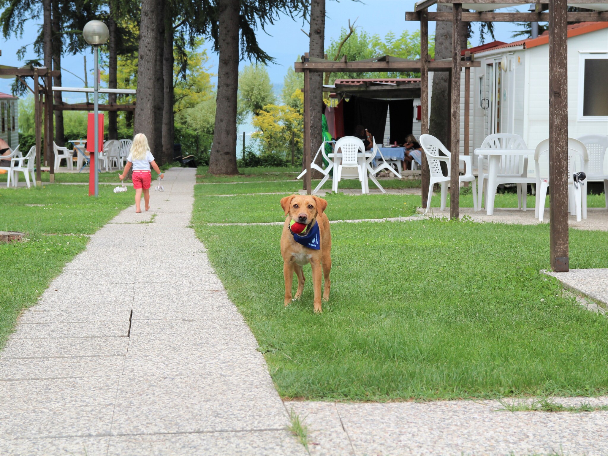 公寓 Caravanpark San Benedetto Camping Relais Peschiera