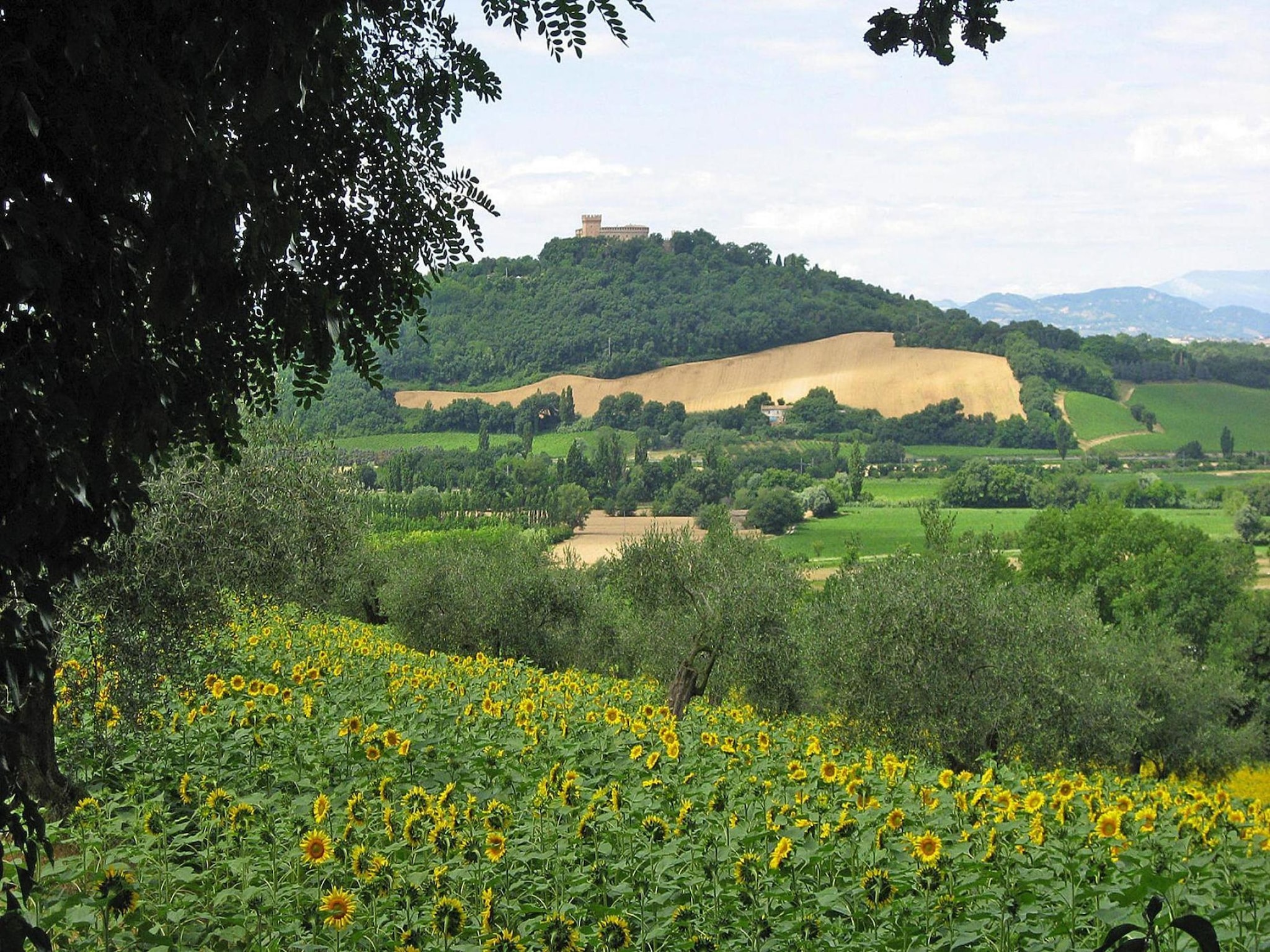 Leilighet Holiday resort Casa Mare Vallugola die Gabicce, Va