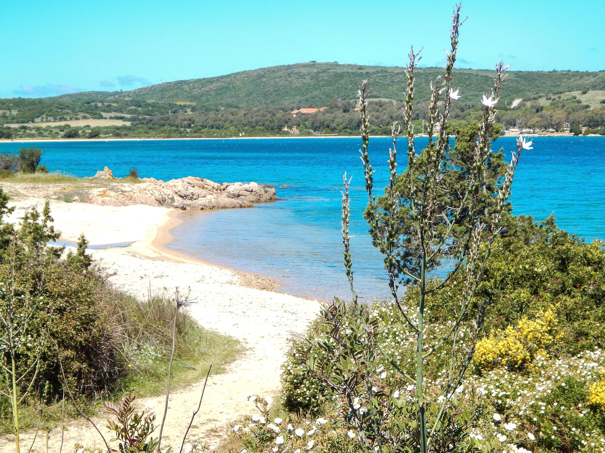 Apartment Appartement Cannigione - Type bilo La Costa Mare