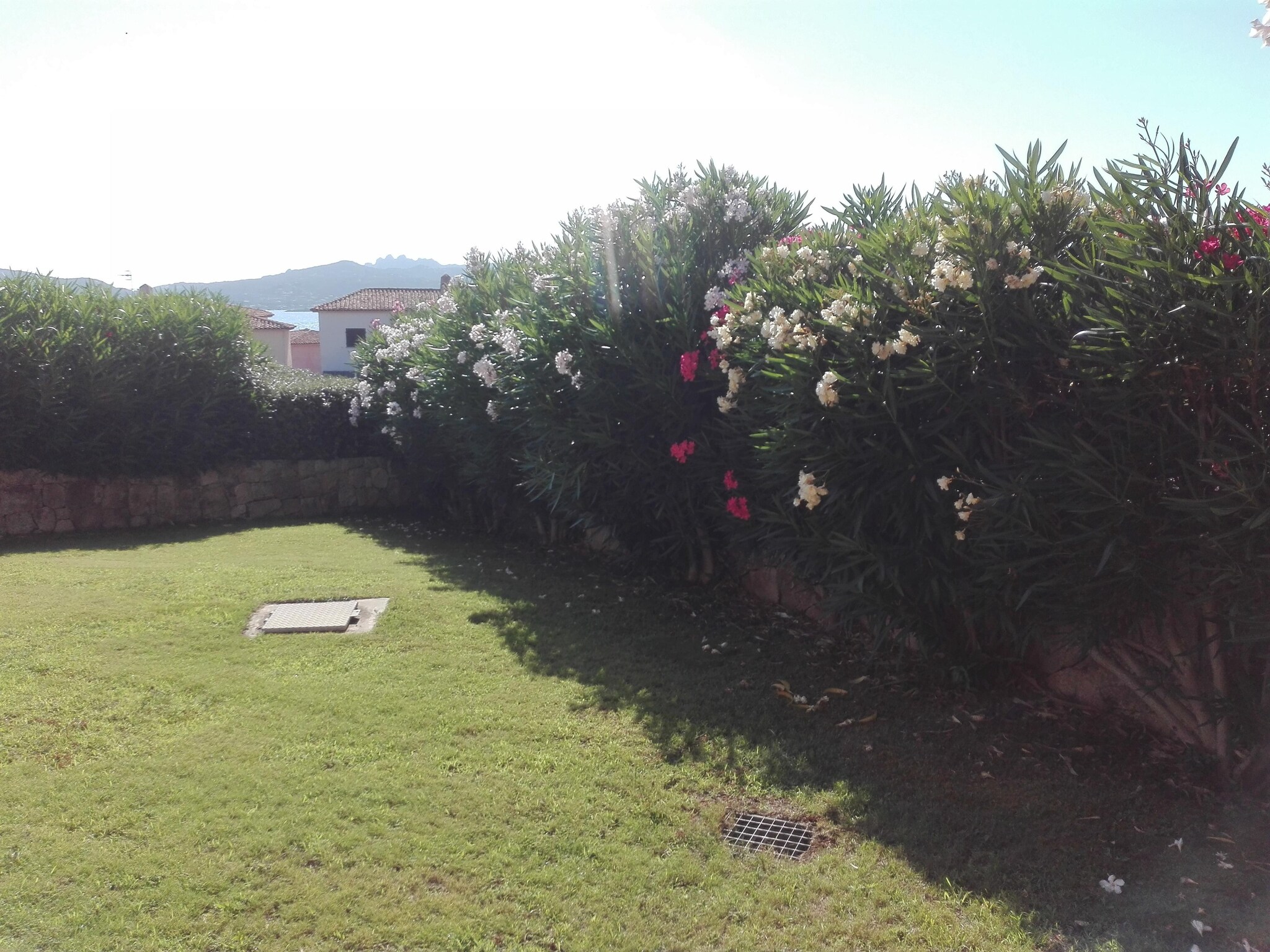   holiday home, La Conia Cannigione-Villa Lu Nibaru