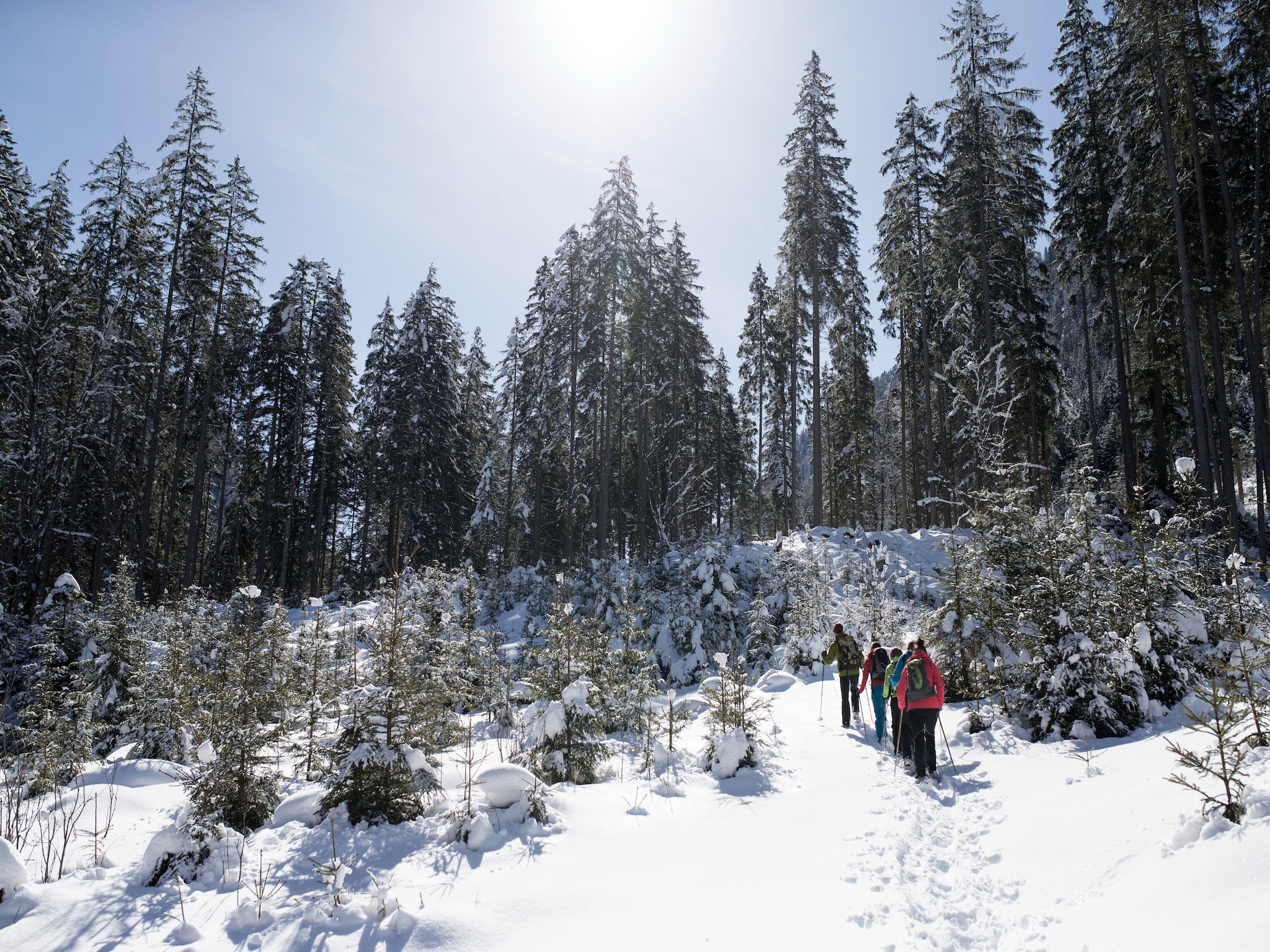 Apartment Ferienwohnung Klausner Lisa