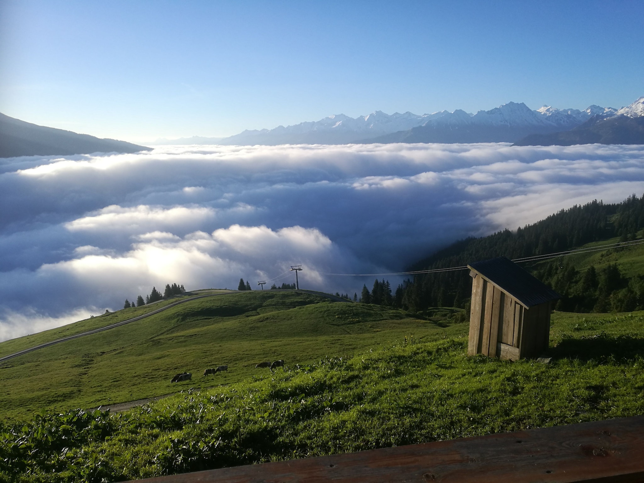   Almhütte Gipfelblick