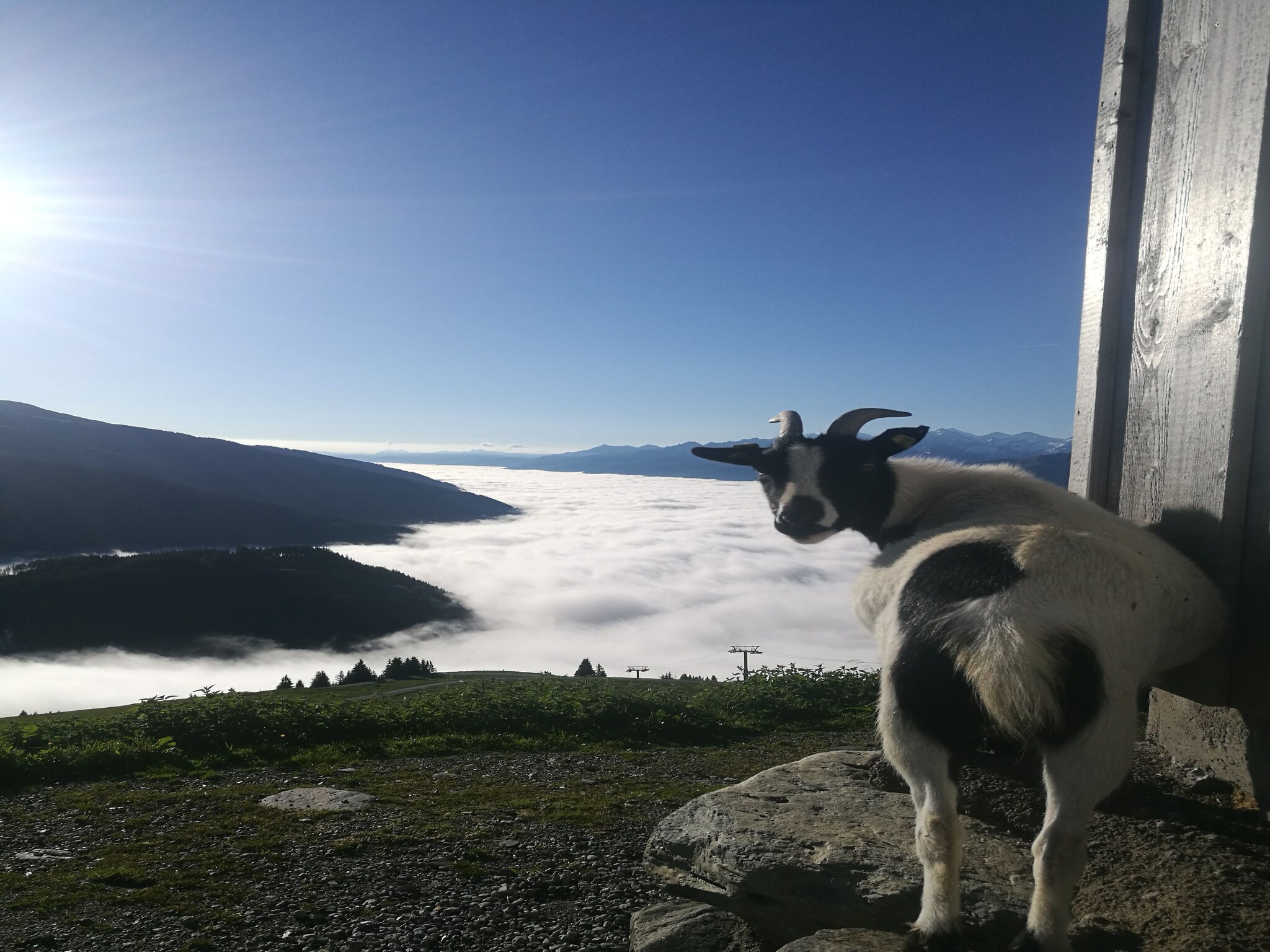   Almhütte Gipfelblick