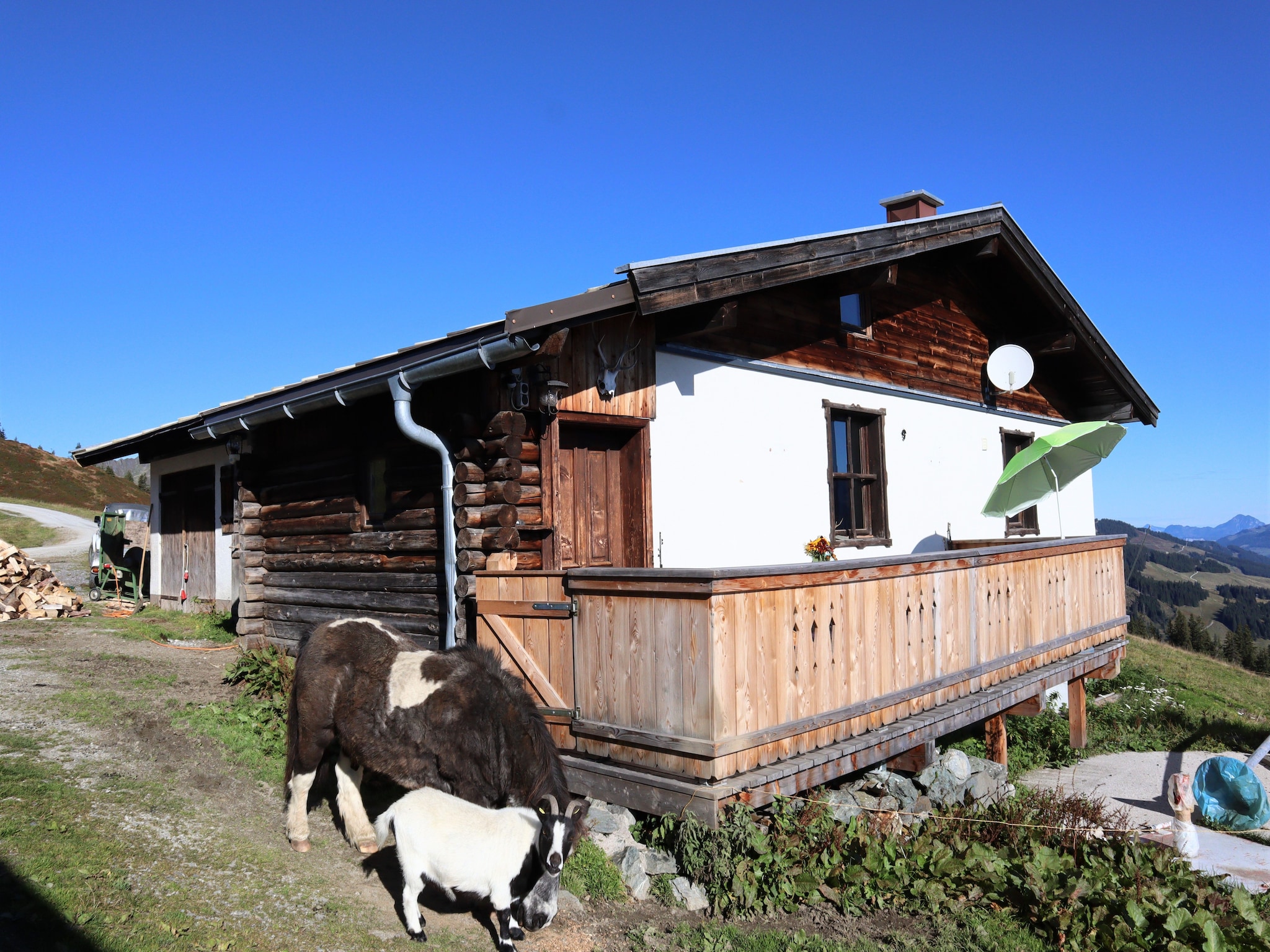   Almhütte Gipfelblick